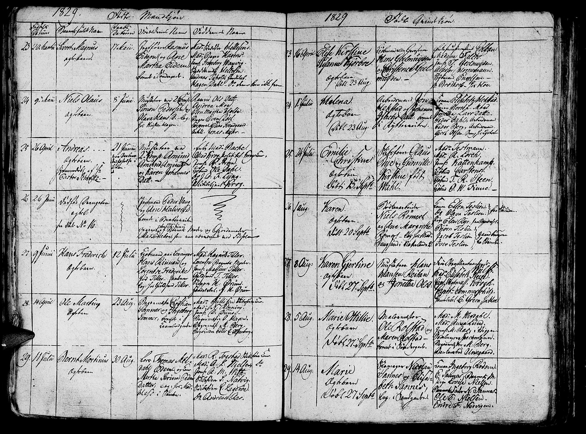 Ministerialprotokoller, klokkerbøker og fødselsregistre - Sør-Trøndelag, AV/SAT-A-1456/602/L0135: Klokkerbok nr. 602C03, 1815-1832