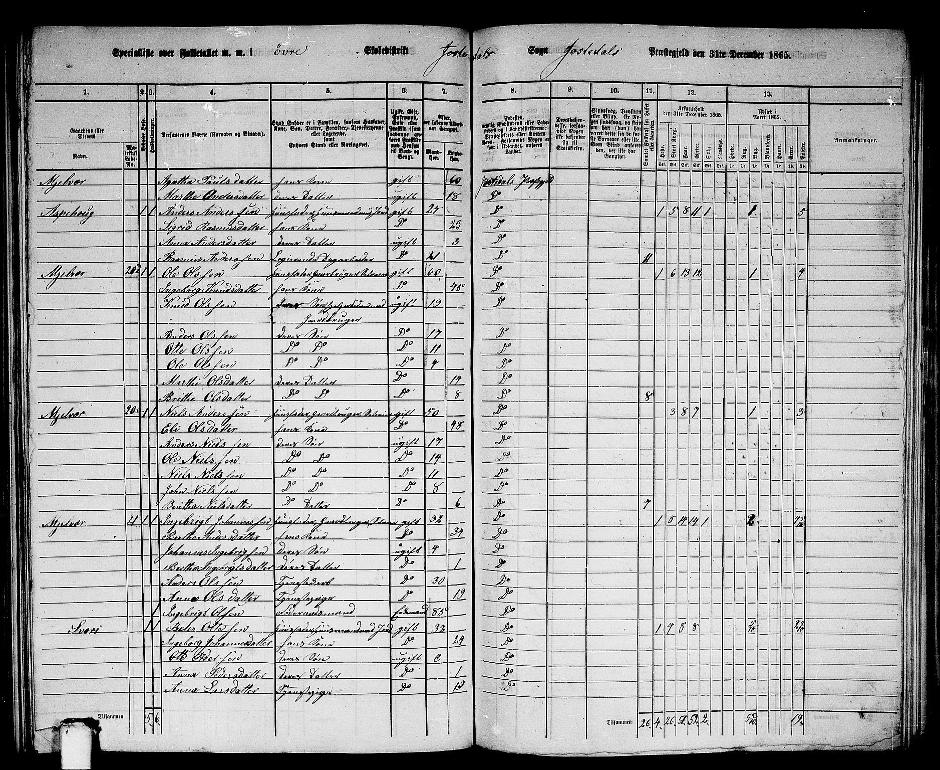 RA, Folketelling 1865 for 1427P Jostedal prestegjeld, 1865, s. 29