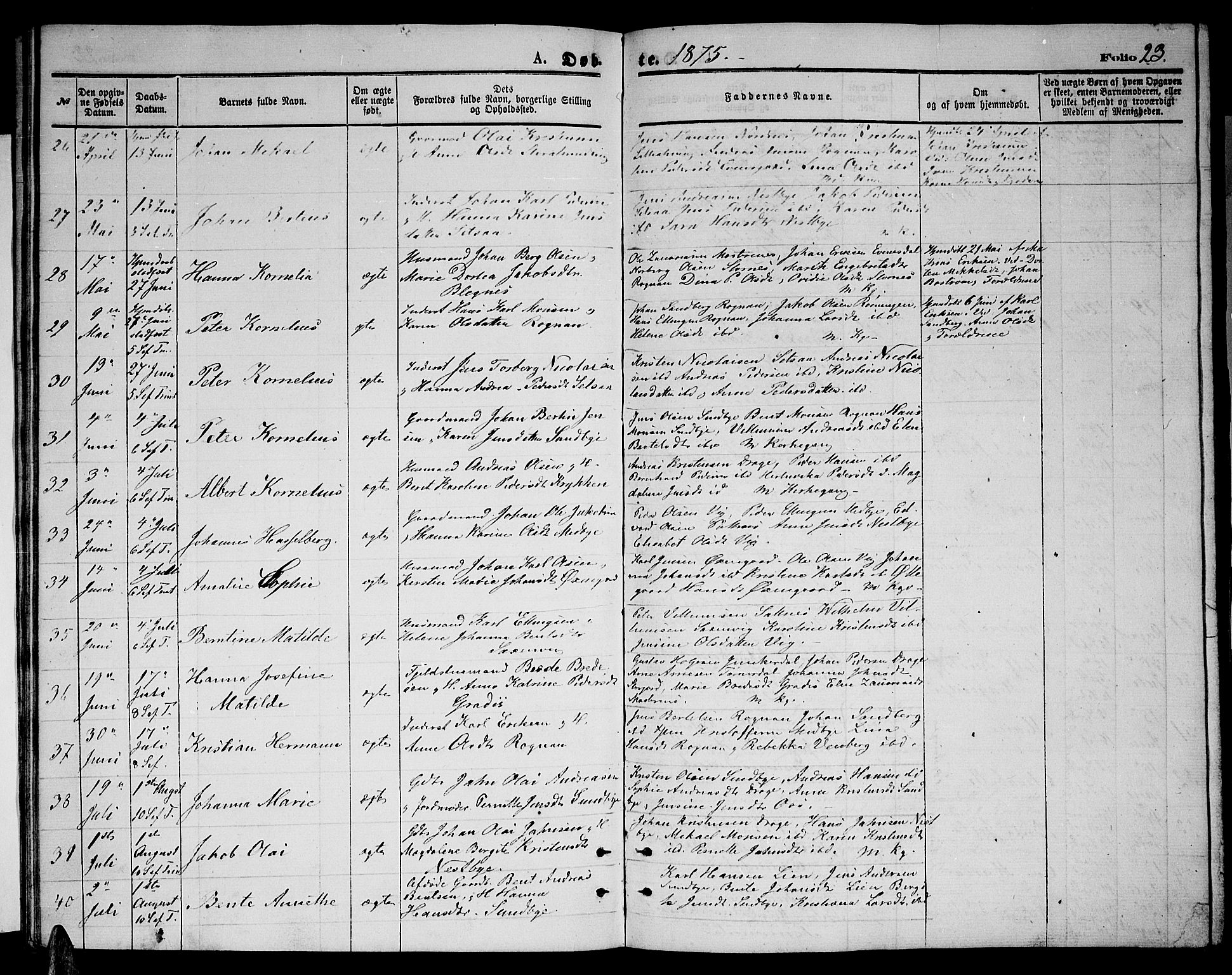 Ministerialprotokoller, klokkerbøker og fødselsregistre - Nordland, AV/SAT-A-1459/847/L0679: Klokkerbok nr. 847C07, 1870-1888, s. 23