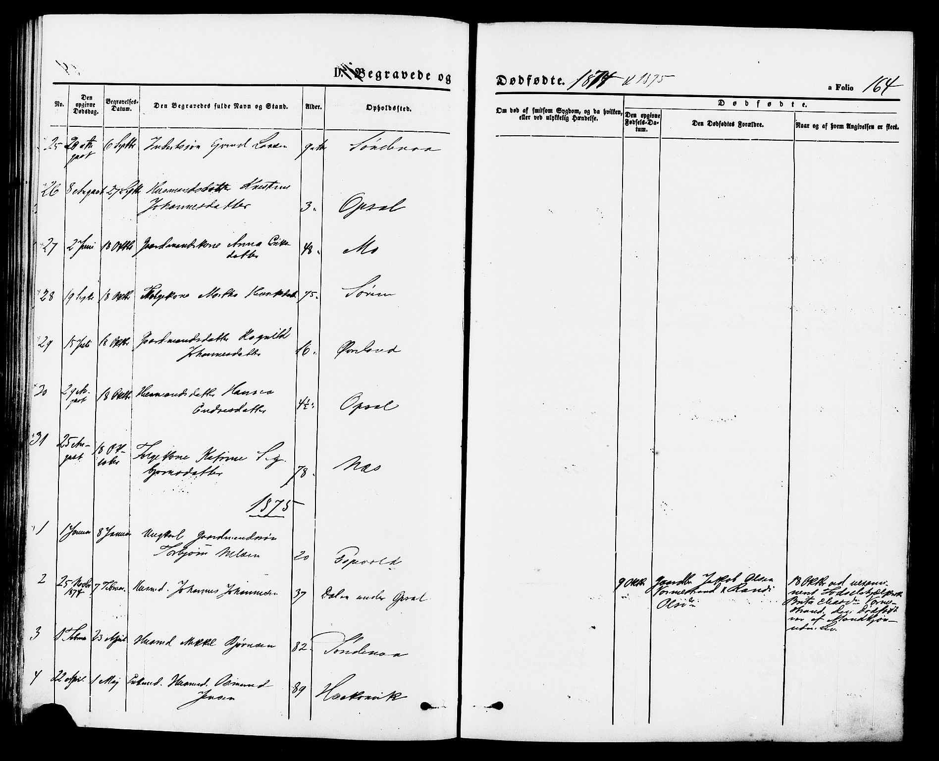 Vikedal sokneprestkontor, AV/SAST-A-101840/01/IV: Ministerialbok nr. A 7, 1868-1883, s. 164