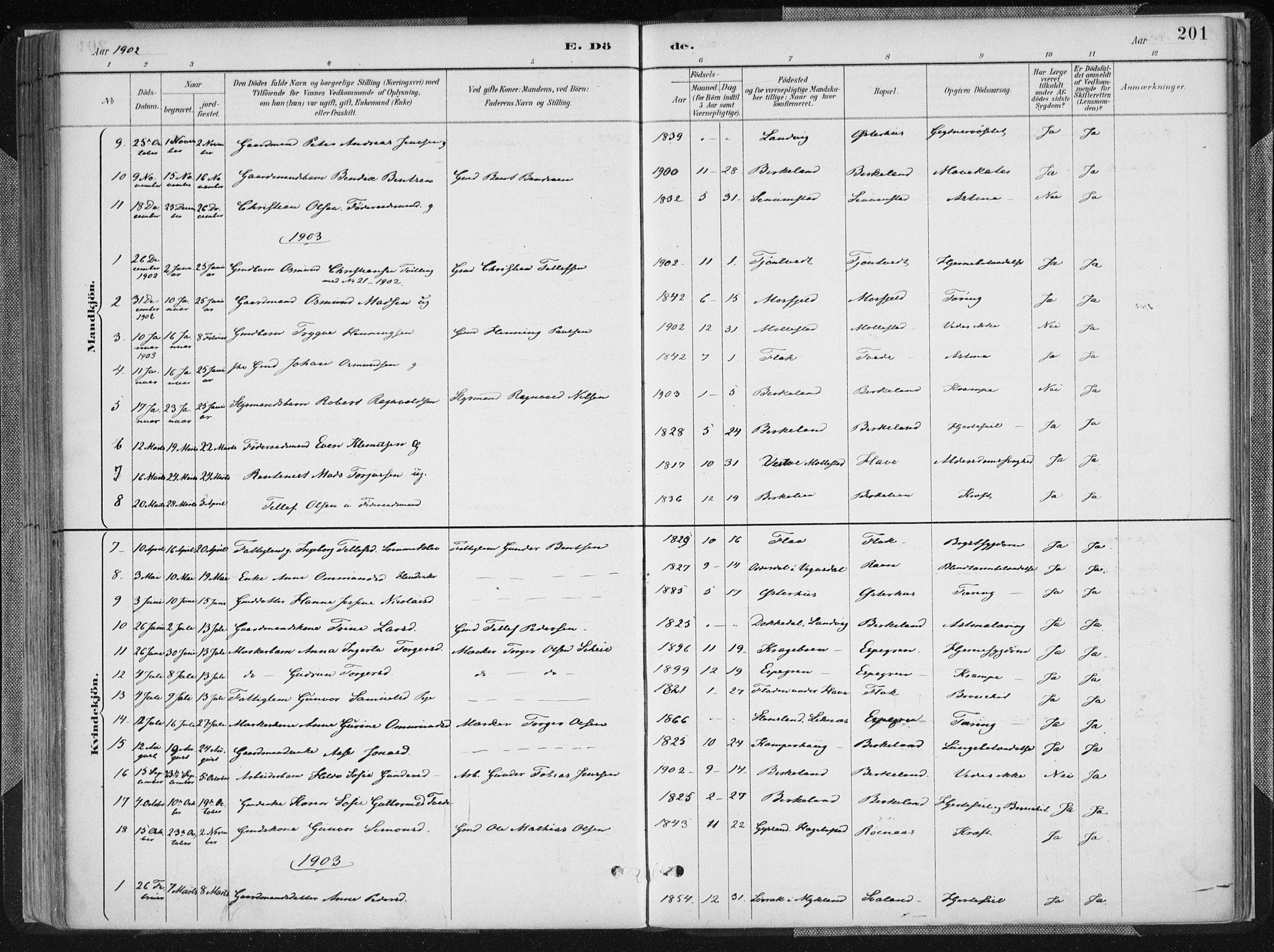 Birkenes sokneprestkontor, SAK/1111-0004/F/Fa/L0005: Ministerialbok nr. A 5, 1887-1907, s. 201