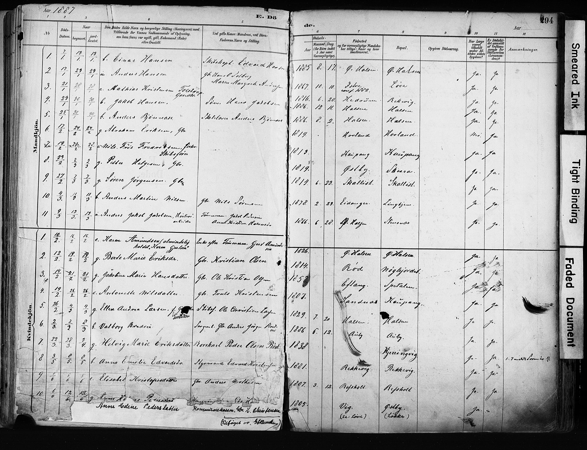 Tjølling kirkebøker, AV/SAKO-A-60/F/Fa/L0009: Ministerialbok nr. 9, 1887-1905, s. 294