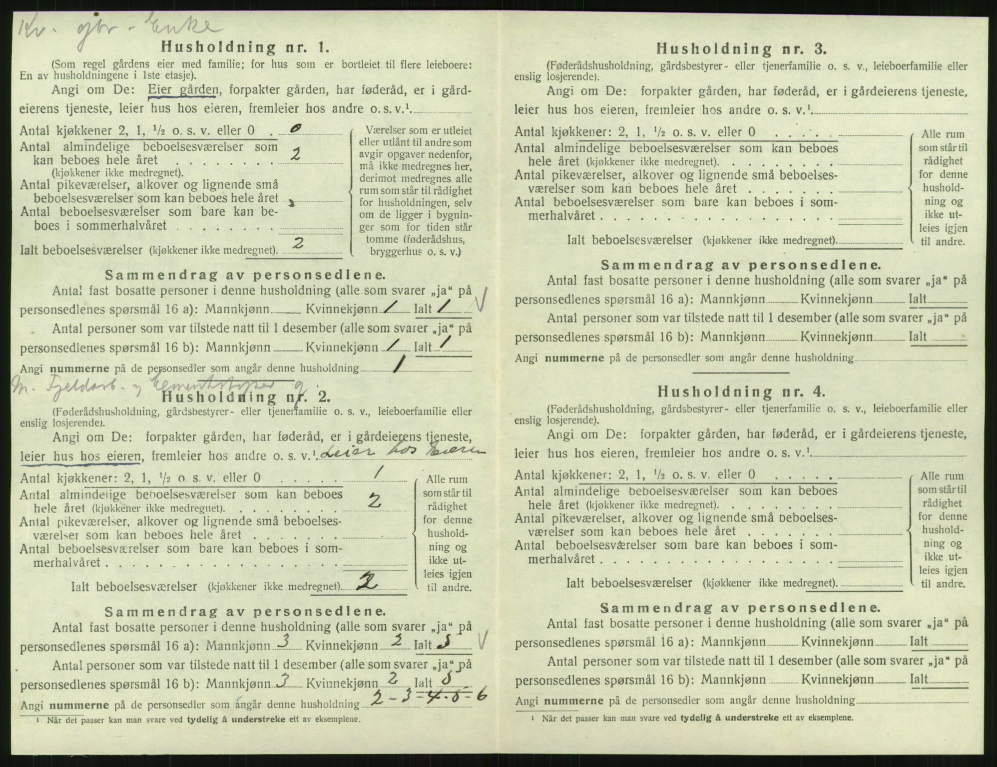 SAT, Folketelling 1920 for 1833 Mo herred, 1920, s. 1307