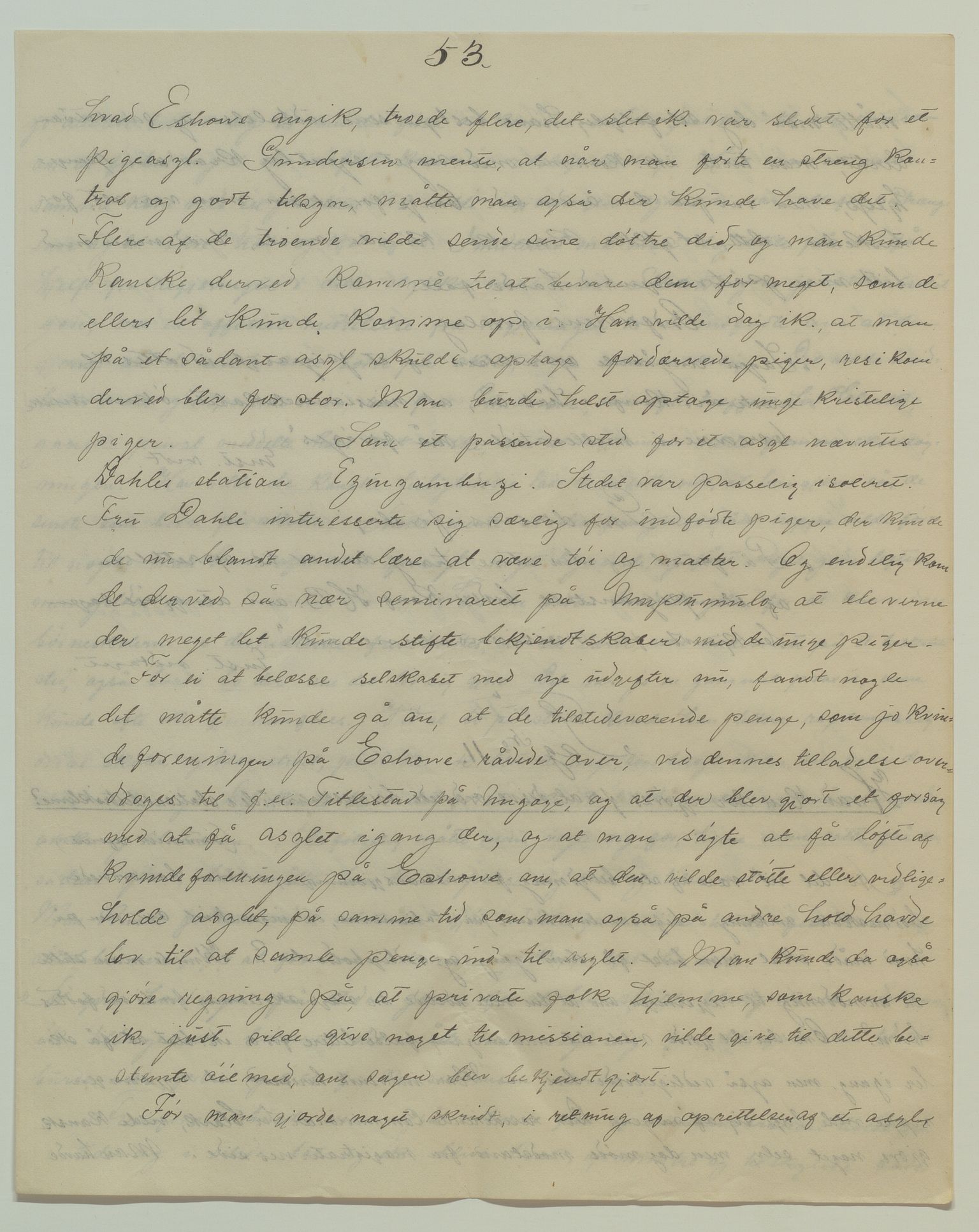 Det Norske Misjonsselskap - hovedadministrasjonen, VID/MA-A-1045/D/Da/Daa/L0040/0007: Konferansereferat og årsberetninger / Konferansereferat fra Sør-Afrika., 1894, s. 53