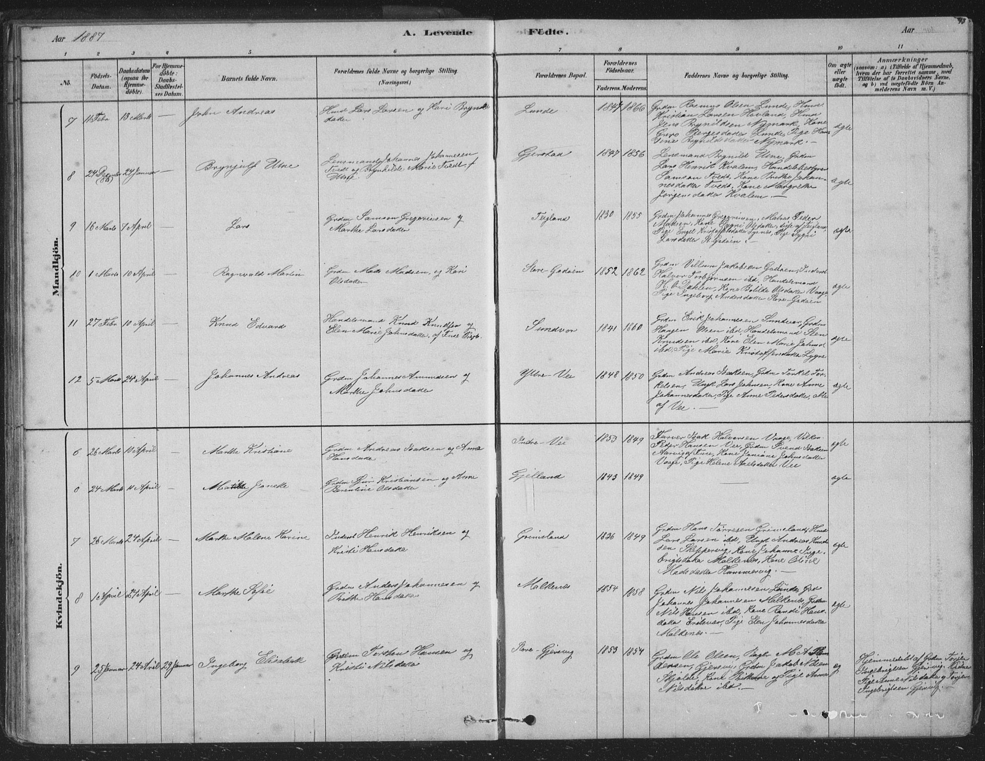 Tysnes sokneprestembete, AV/SAB-A-78601/H/Hab: Klokkerbok nr. B 2, 1878-1918, s. 43