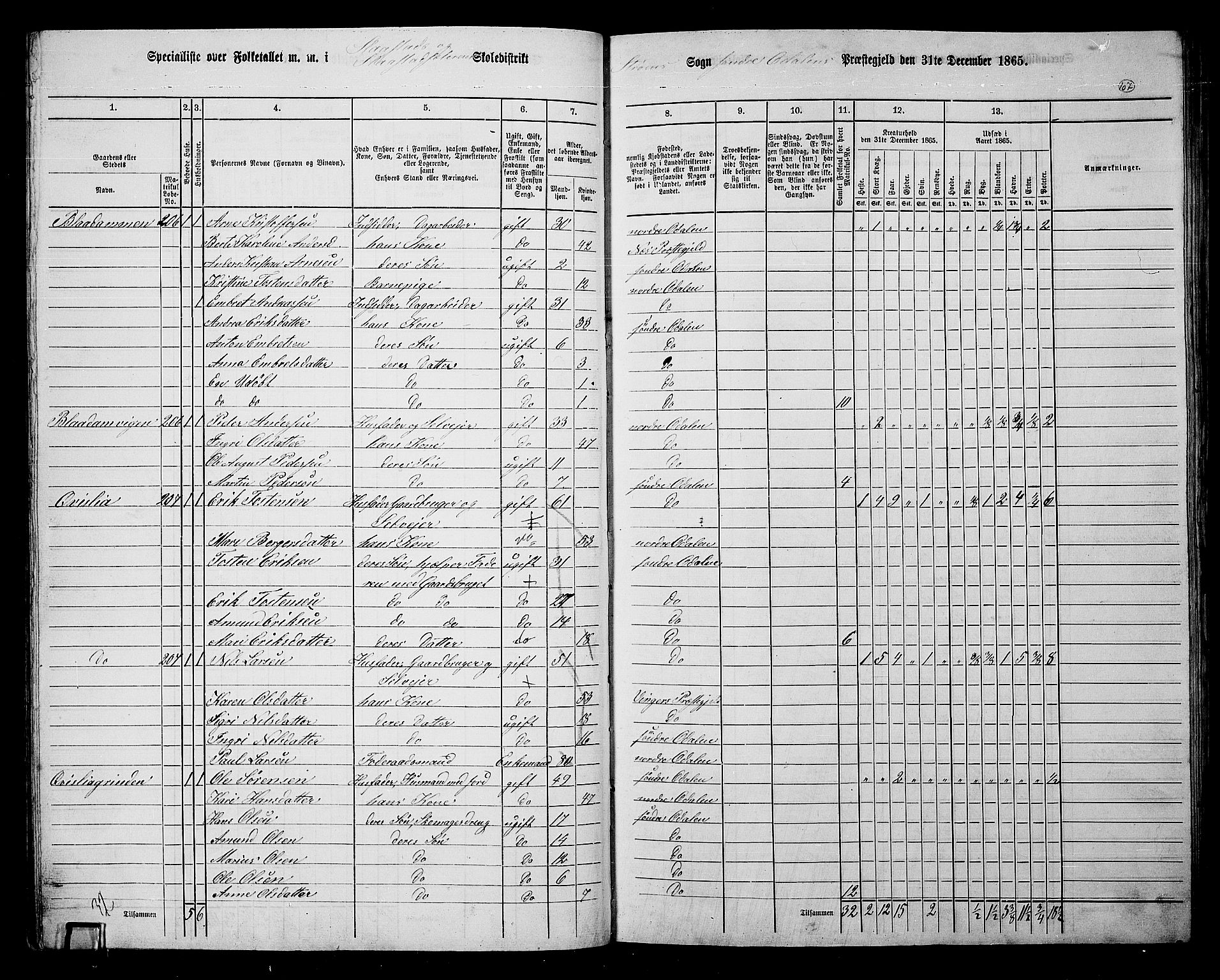 RA, Folketelling 1865 for 0419P Sør-Odal prestegjeld, 1865, s. 97