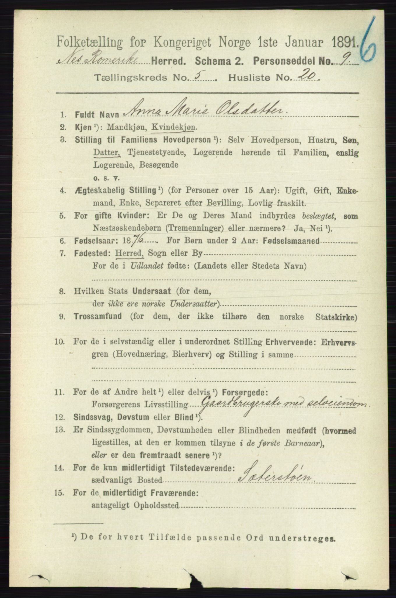 RA, Folketelling 1891 for 0236 Nes herred, 1891, s. 2904