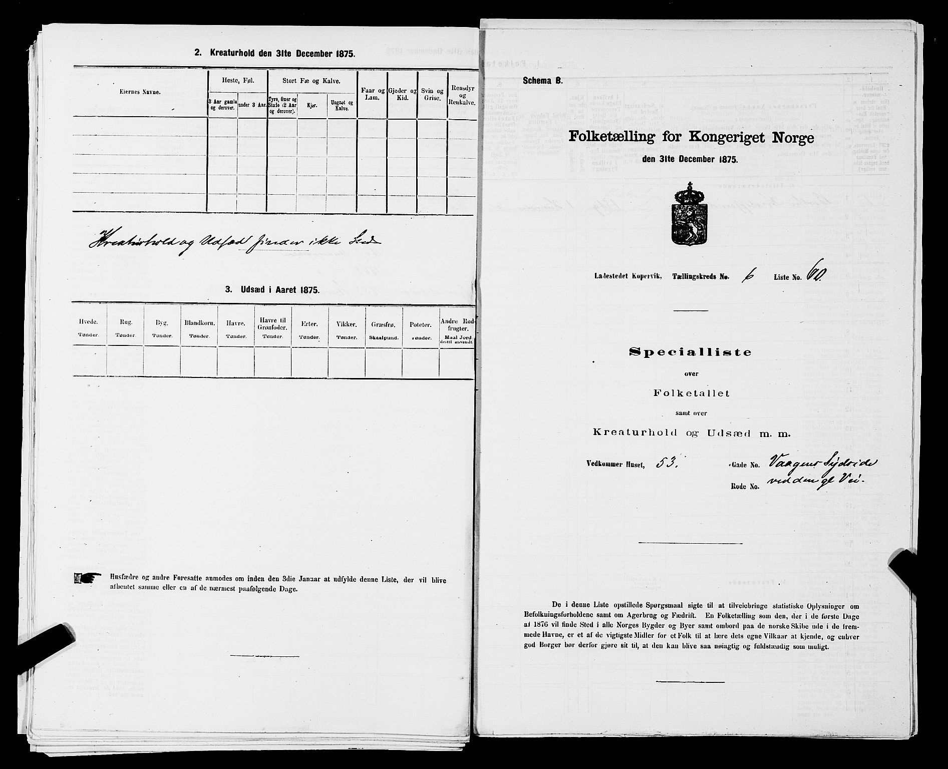 SAST, Folketelling 1875 for 1105B Avaldsnes prestegjeld, Kopervik ladested, 1875, s. 118