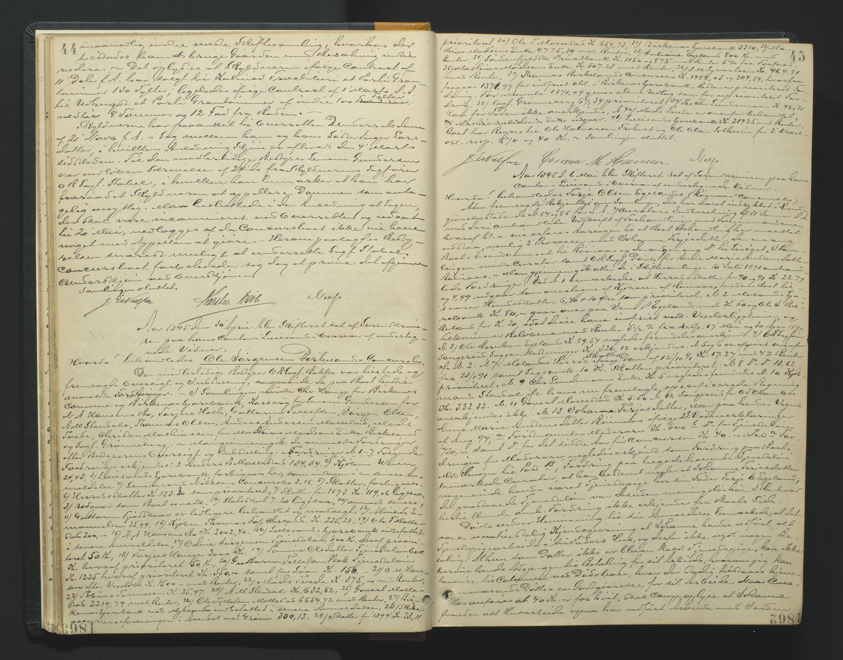 Vestre Nedenes/Sand sorenskriveri, AV/SAK-1221-0010/H/Hc/L0007: Skifteforhandlingsprotokoll nr. 5, 1894-1916, s. 44-45