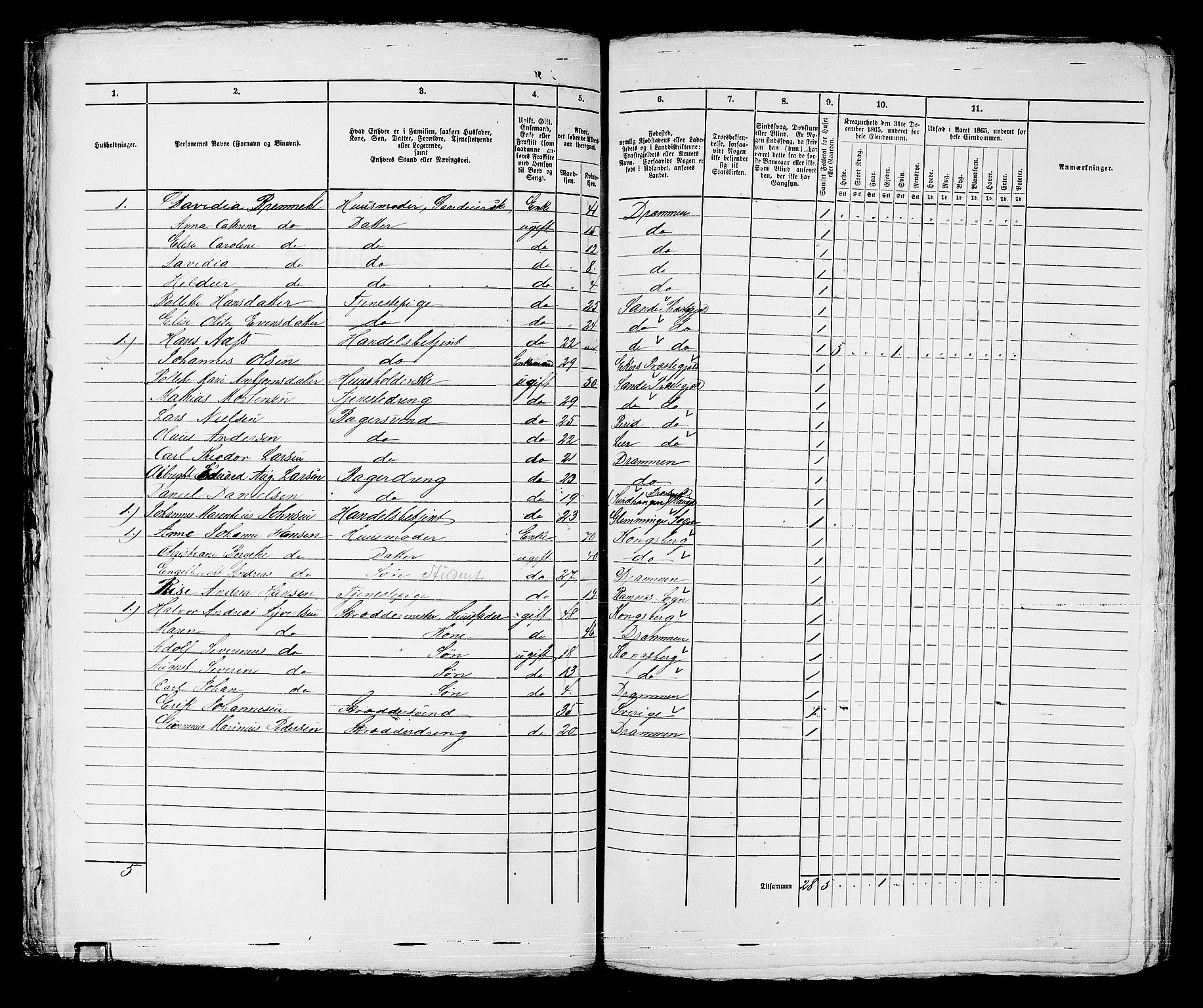 RA, Folketelling 1865 for 0602bP Strømsø prestegjeld i Drammen kjøpstad, 1865, s. 250