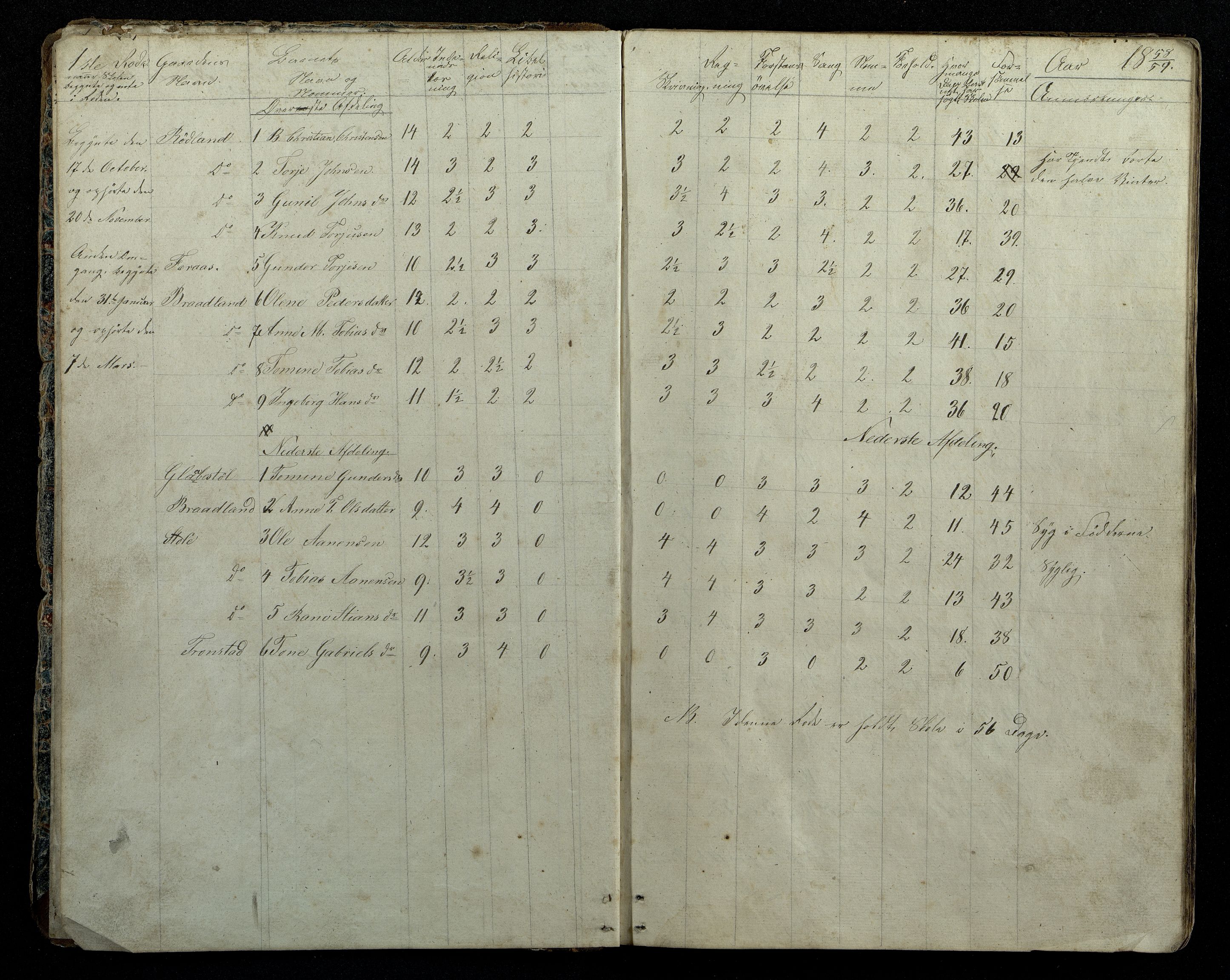 Nord-Audnedal kommune - Brådland Skole, ARKSOR/1027NA552/I/L0001: Dagbok, 1853-1879