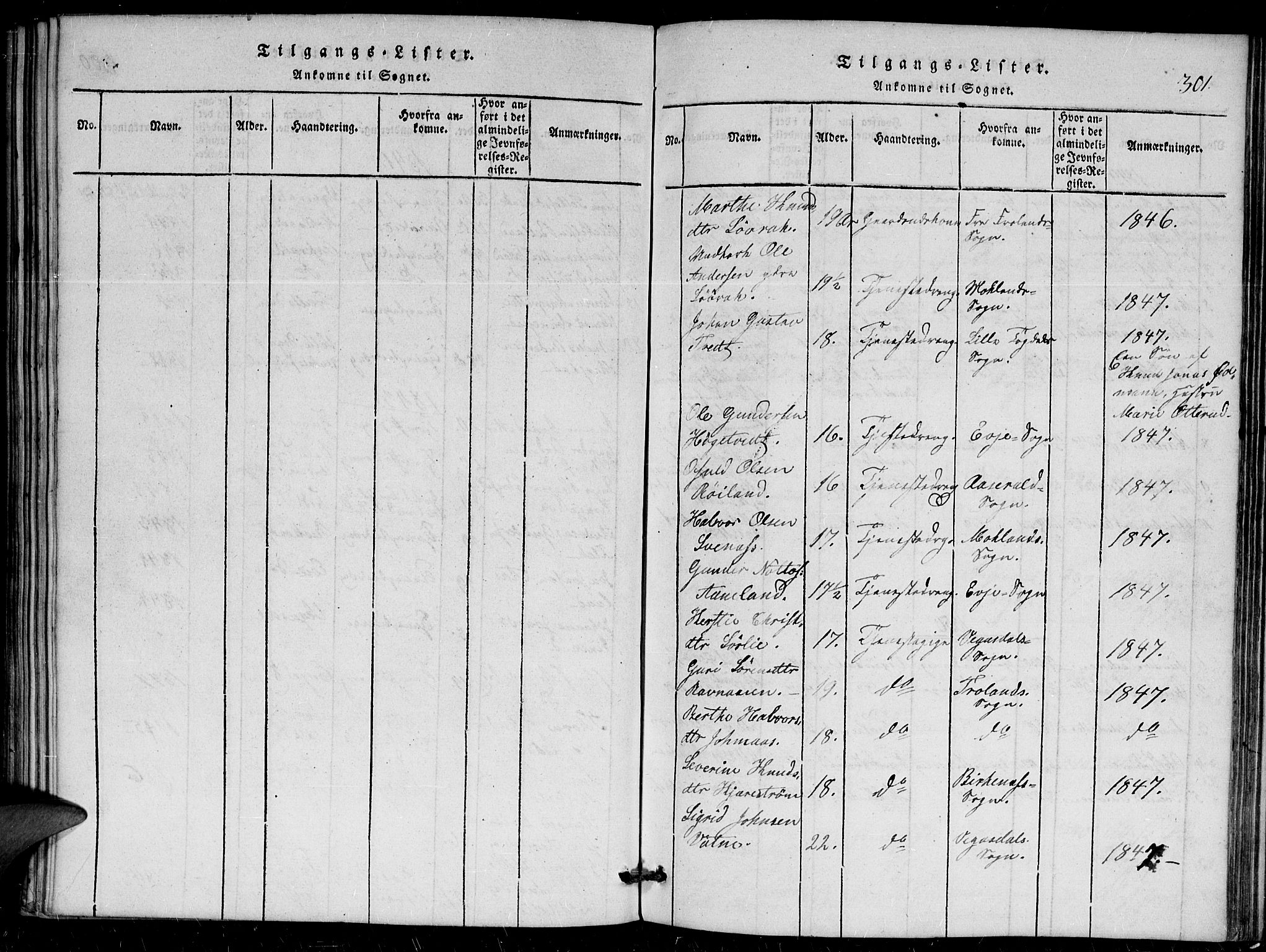 Herefoss sokneprestkontor, SAK/1111-0019/F/Fa/Faa/L0001: Ministerialbok nr. A 1, 1816-1860, s. 301