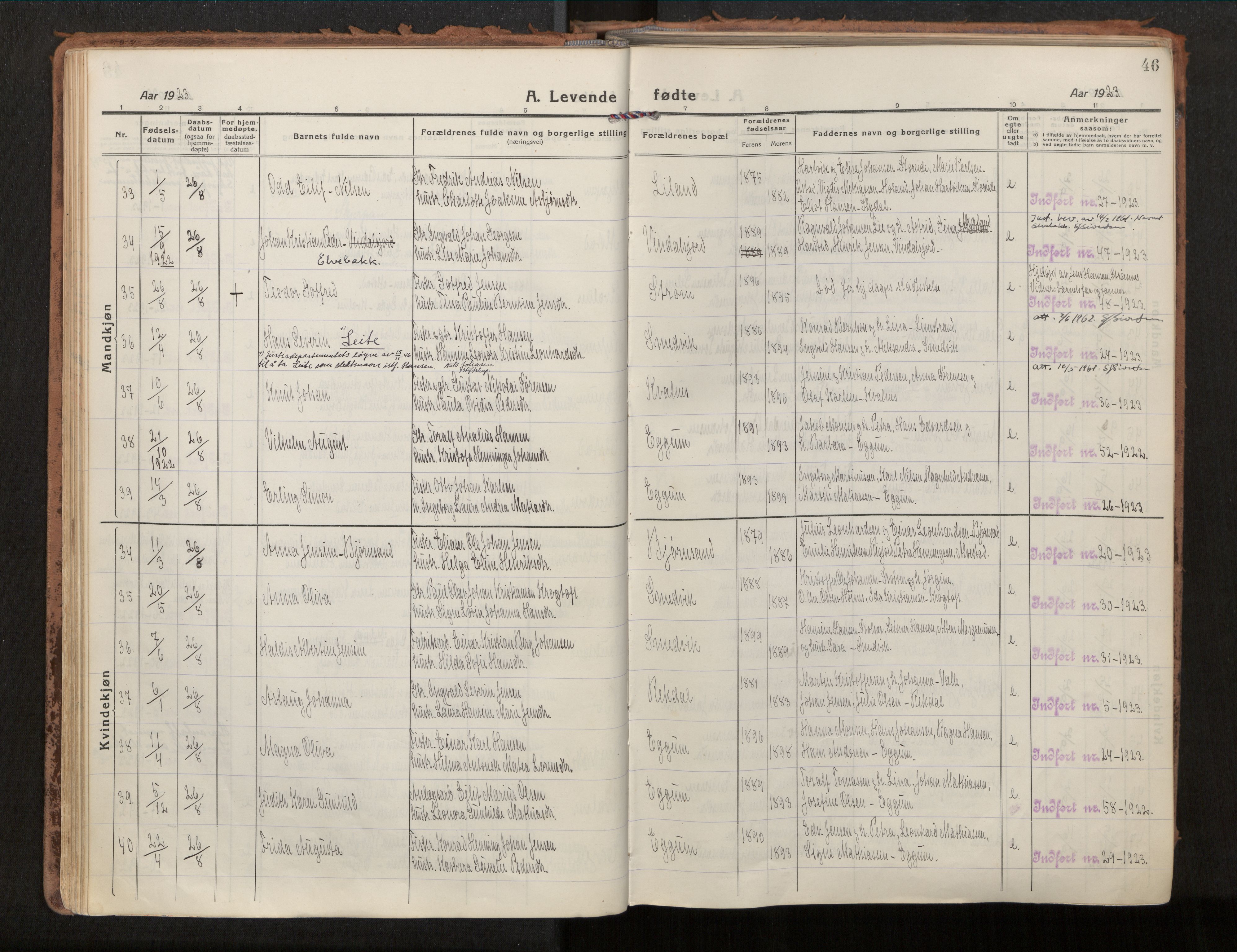 Ministerialprotokoller, klokkerbøker og fødselsregistre - Nordland, AV/SAT-A-1459/880/L1136: Ministerialbok nr. 880A10, 1919-1927, s. 46