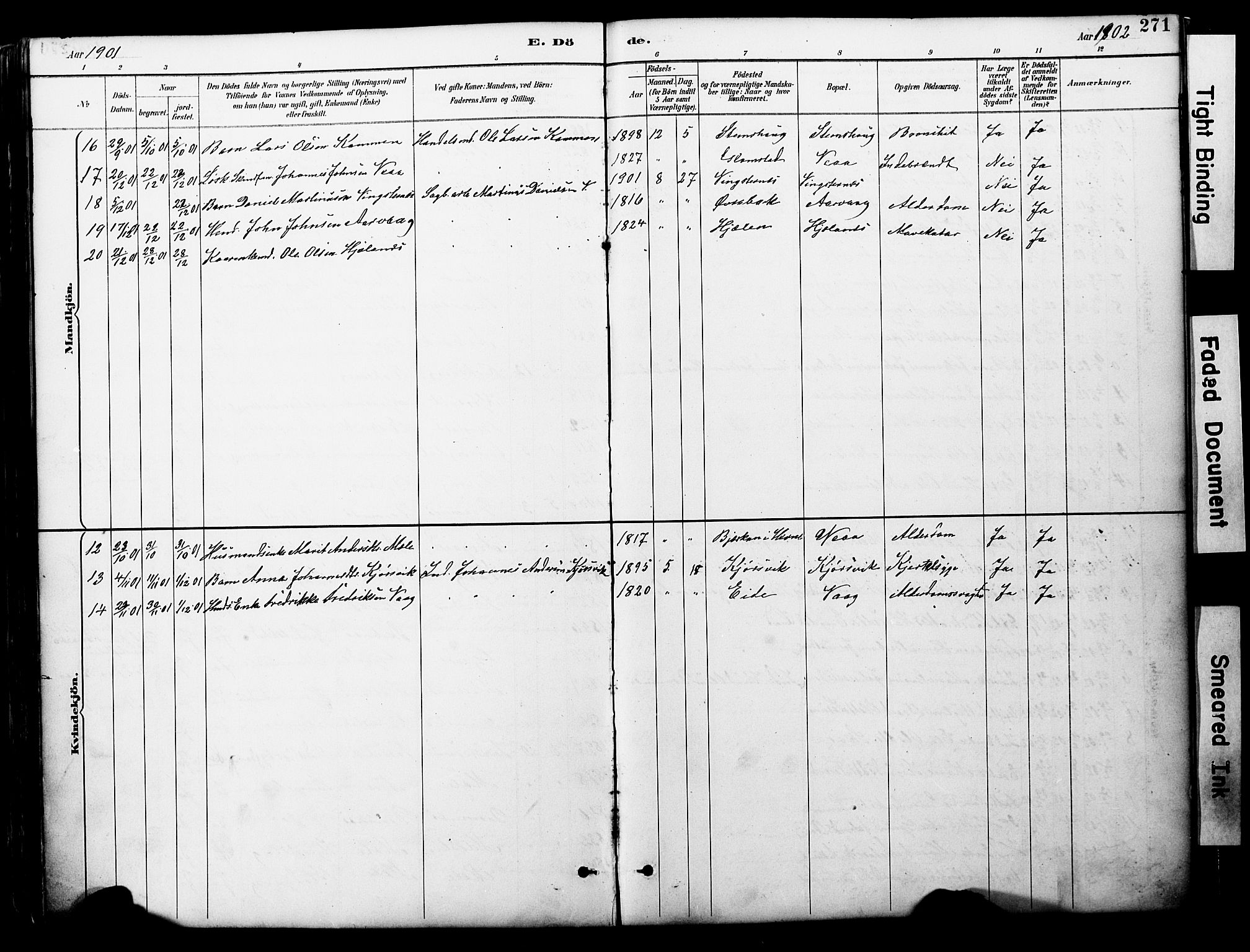 Ministerialprotokoller, klokkerbøker og fødselsregistre - Møre og Romsdal, AV/SAT-A-1454/578/L0907: Ministerialbok nr. 578A06, 1887-1904, s. 271