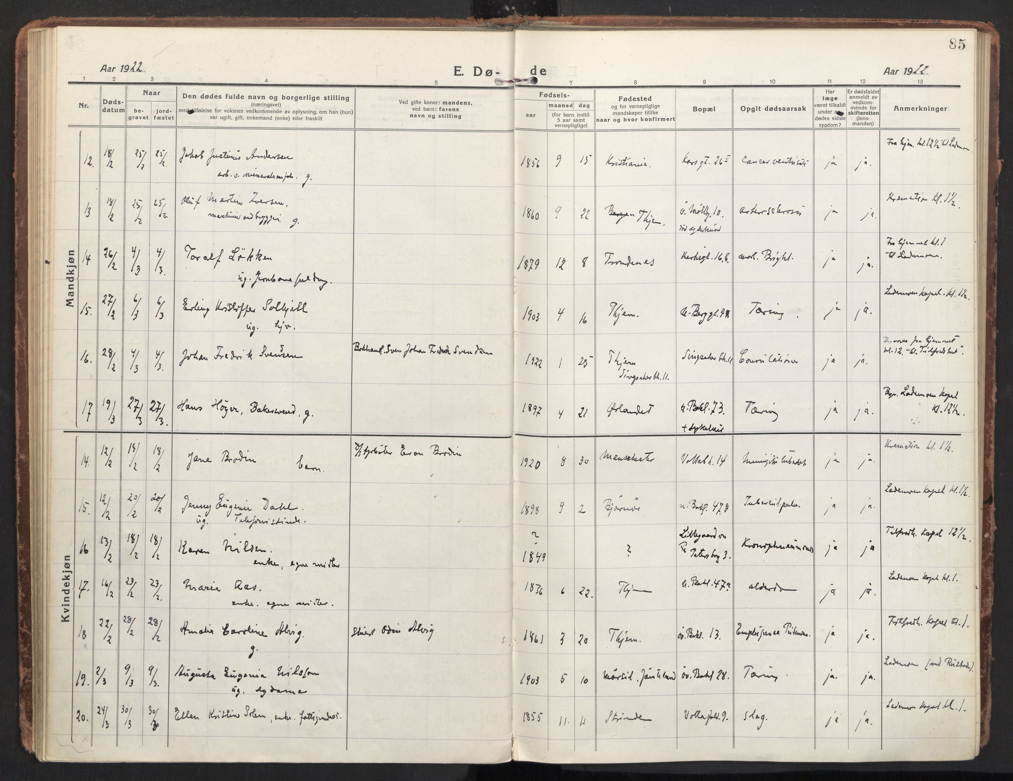 Ministerialprotokoller, klokkerbøker og fødselsregistre - Sør-Trøndelag, AV/SAT-A-1456/604/L0207: Ministerialbok nr. 604A27, 1917-1933, s. 85