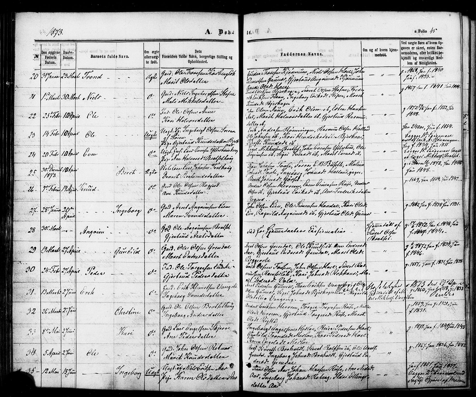 Ministerialprotokoller, klokkerbøker og fødselsregistre - Sør-Trøndelag, SAT/A-1456/674/L0870: Ministerialbok nr. 674A02, 1861-1879, s. 45