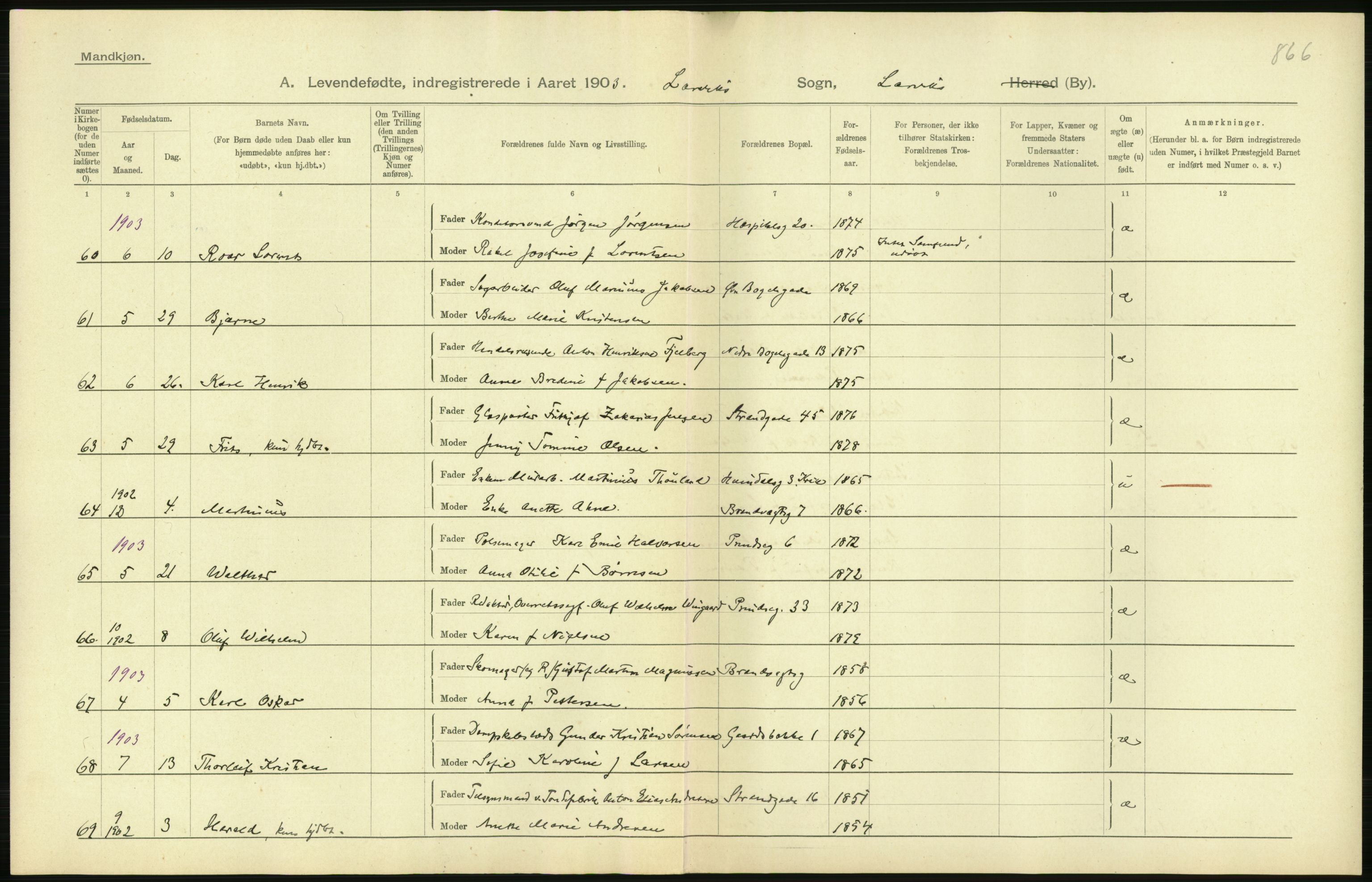 Statistisk sentralbyrå, Sosiodemografiske emner, Befolkning, AV/RA-S-2228/D/Df/Dfa/Dfaa/L0008: Jarlsberg og Larvik amt: Fødte, gifte, døde, 1903, s. 256