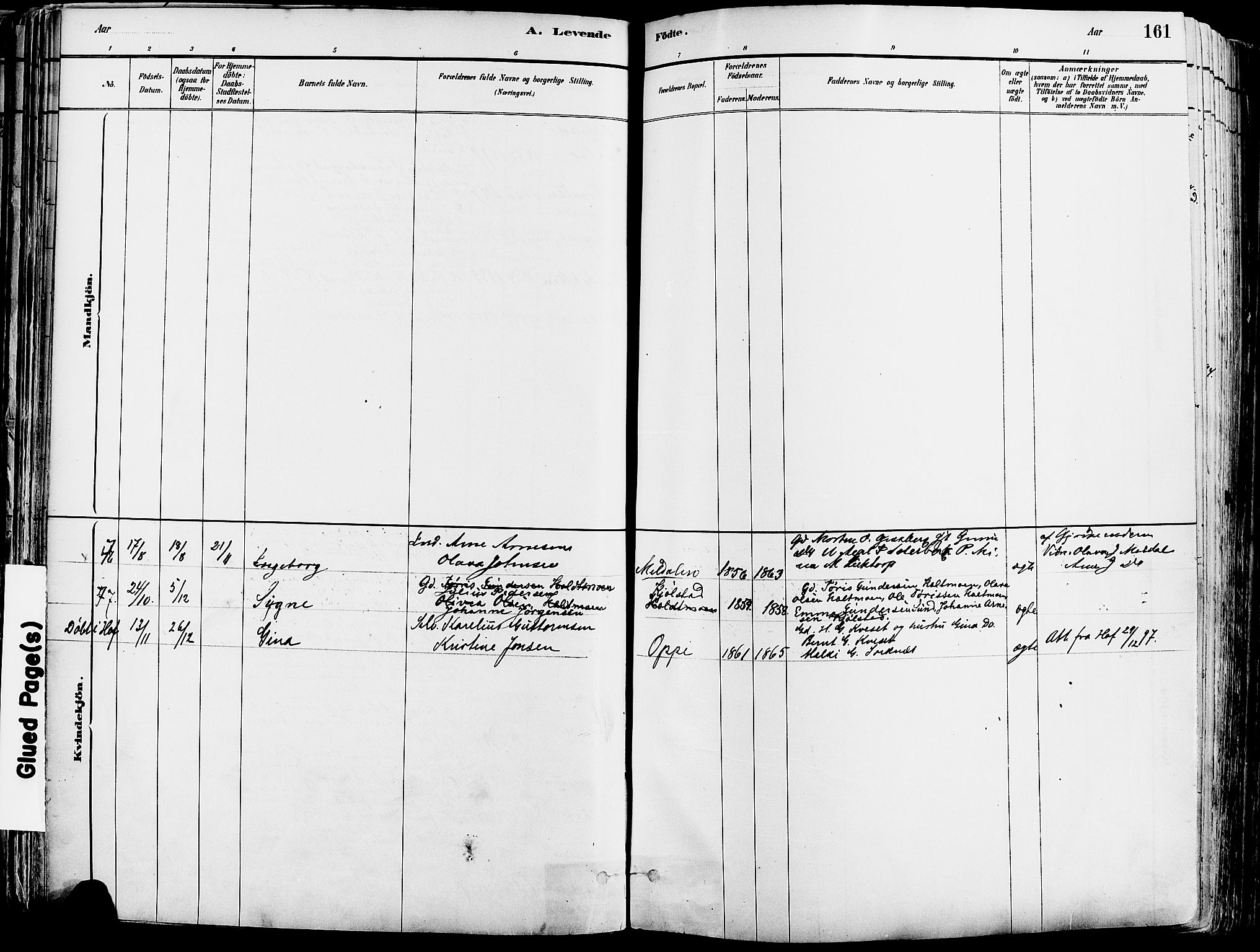 Grue prestekontor, AV/SAH-PREST-036/H/Ha/Haa/L0012: Ministerialbok nr. 12, 1881-1897, s. 161