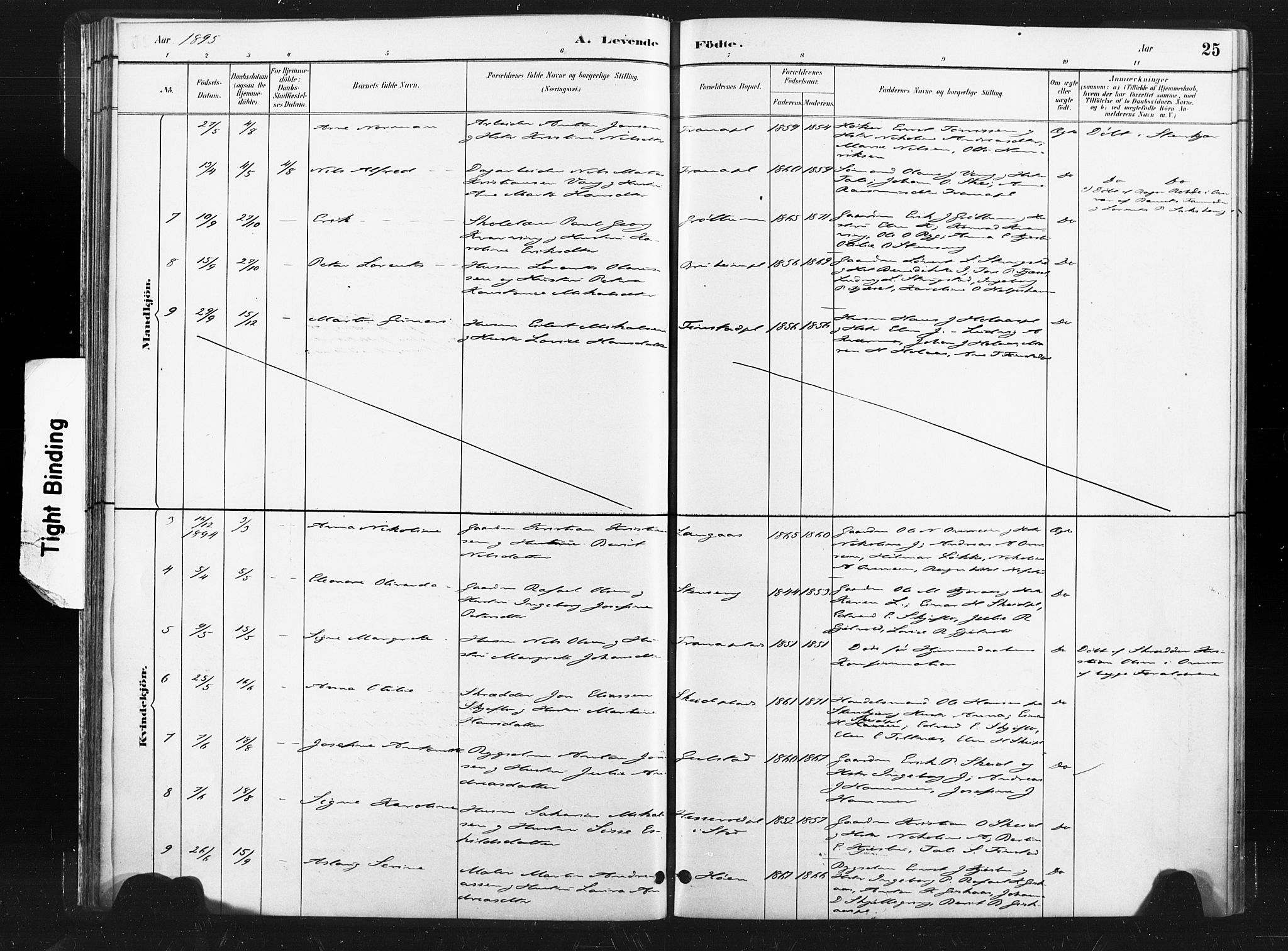 Ministerialprotokoller, klokkerbøker og fødselsregistre - Nord-Trøndelag, SAT/A-1458/736/L0361: Ministerialbok nr. 736A01, 1884-1906, s. 25