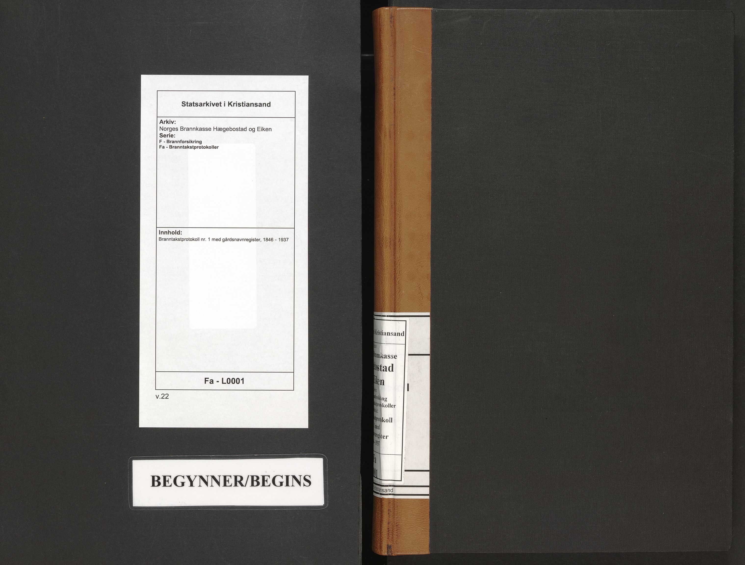 Norges Brannkasse Hægebostad og Eiken, SAK/2241-0027/F/Fa/L0001: Branntakstprotokoll nr. 1 med gårdsnavnregister, 1846-1937