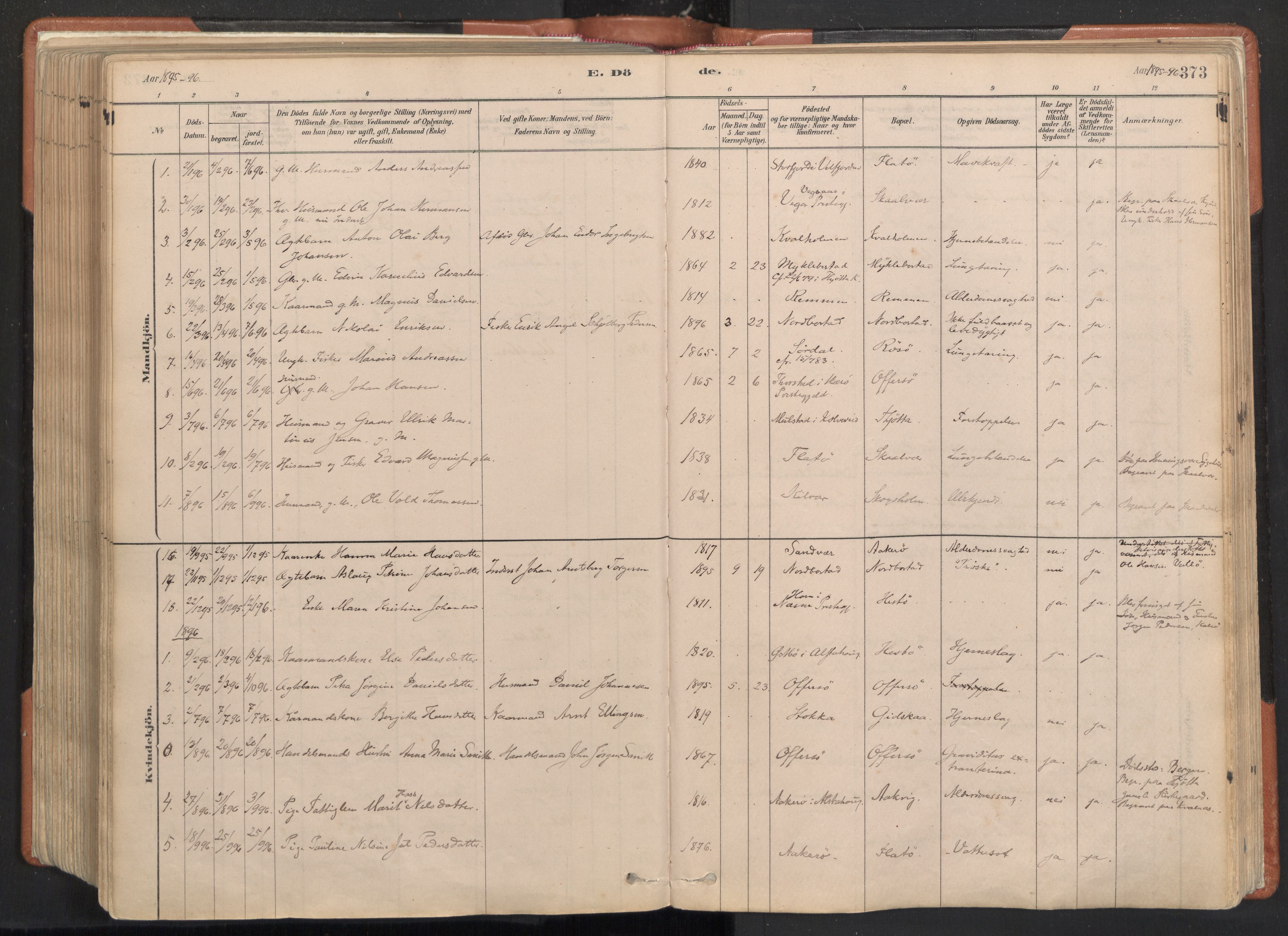 Ministerialprotokoller, klokkerbøker og fødselsregistre - Nordland, AV/SAT-A-1459/817/L0264: Ministerialbok nr. 817A04, 1878-1907, s. 373