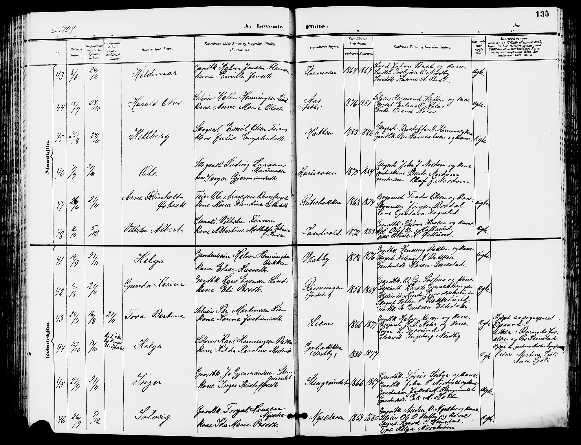 Trysil prestekontor, AV/SAH-PREST-046/H/Ha/Hab/L0006: Klokkerbok nr. 6, 1896-1912, s. 135