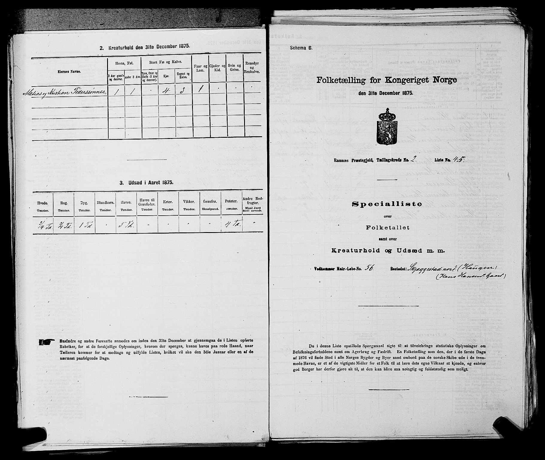 SAKO, Folketelling 1875 for 0718P Ramnes prestegjeld, 1875, s. 242