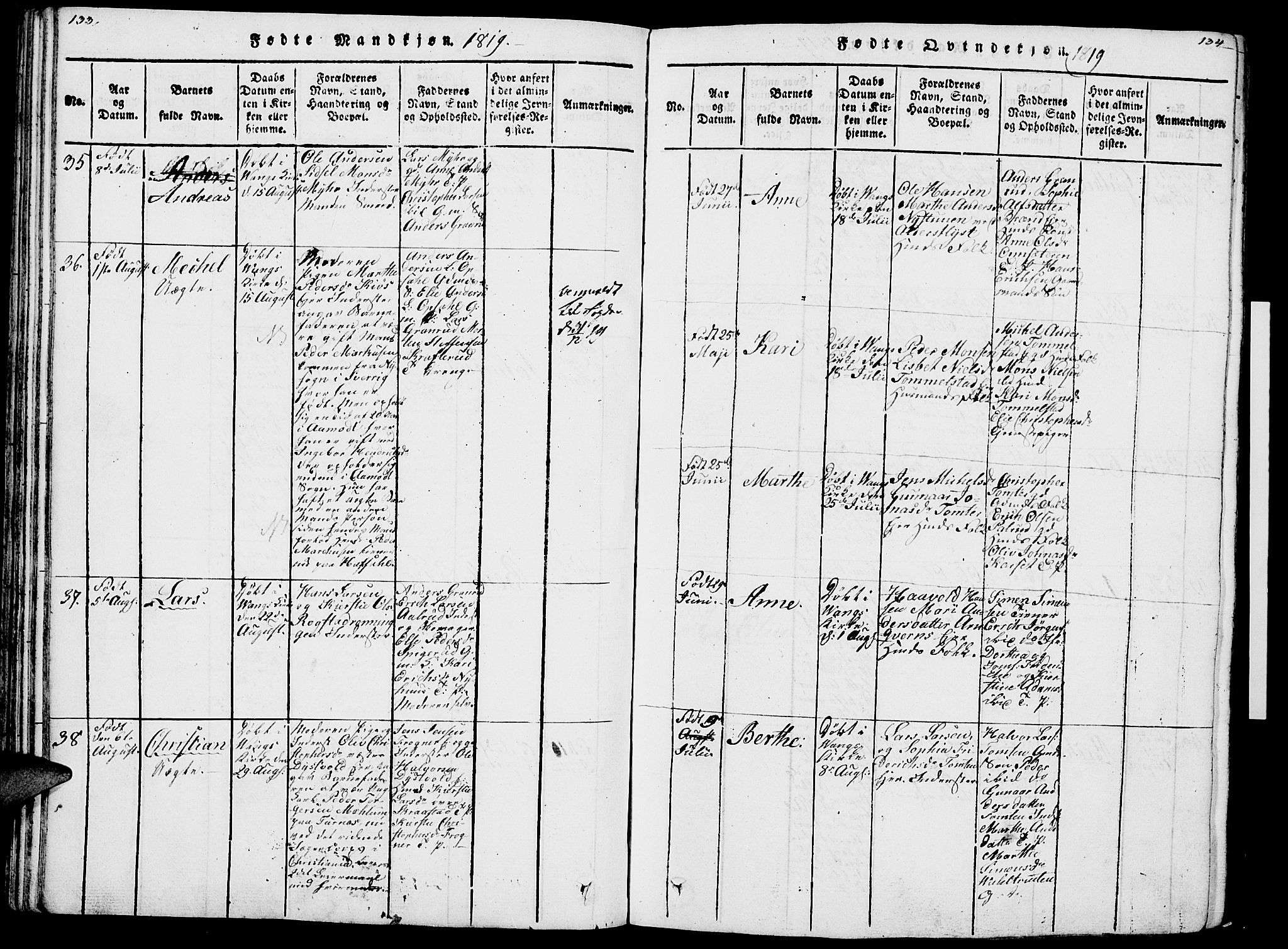 Vang prestekontor, Hedmark, AV/SAH-PREST-008/H/Ha/Haa/L0007: Ministerialbok nr. 7, 1813-1826, s. 133-134