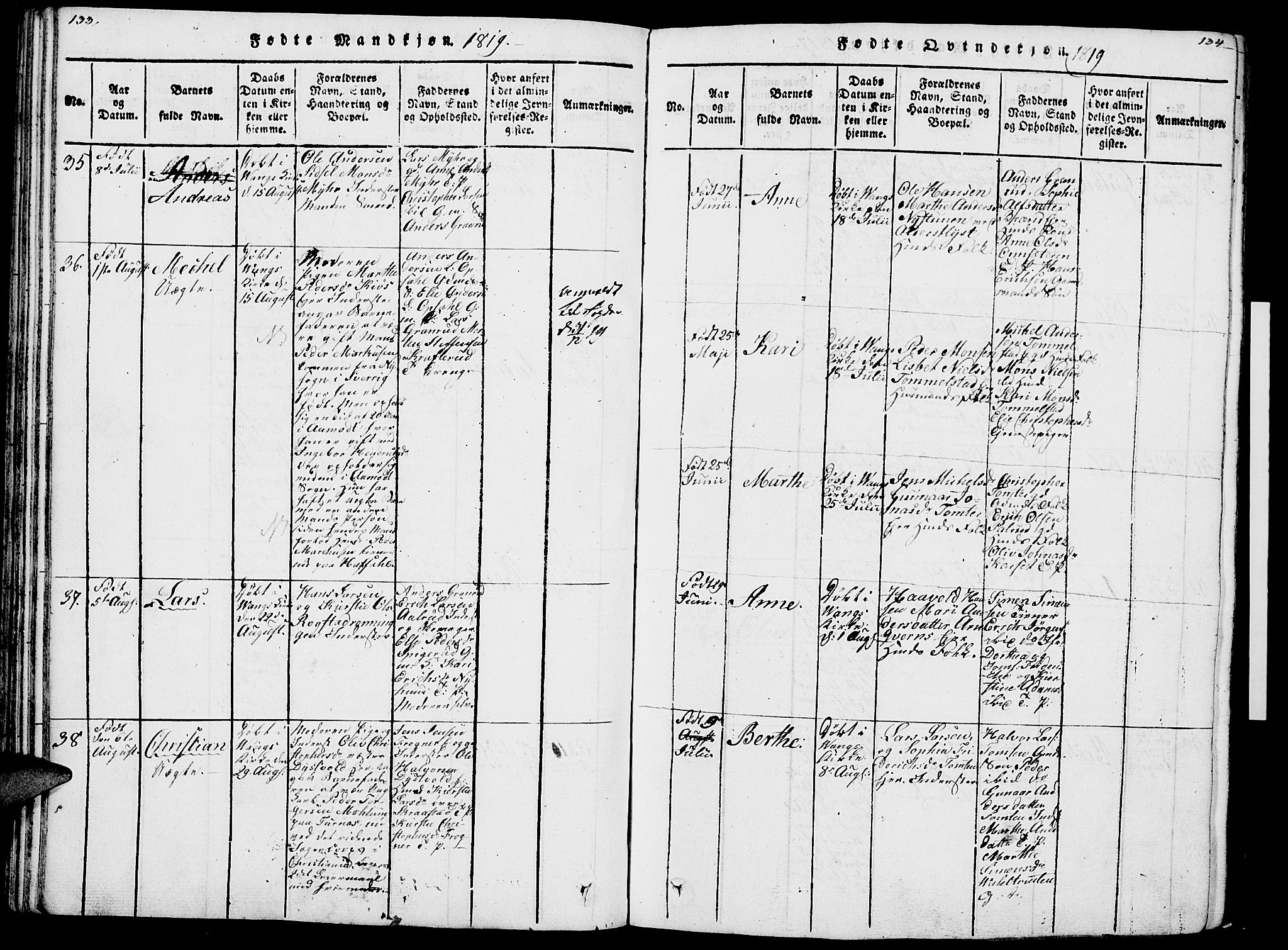 Vang prestekontor, Hedmark, SAH/PREST-008/H/Ha/Haa/L0007: Ministerialbok nr. 7, 1813-1826, s. 133-134