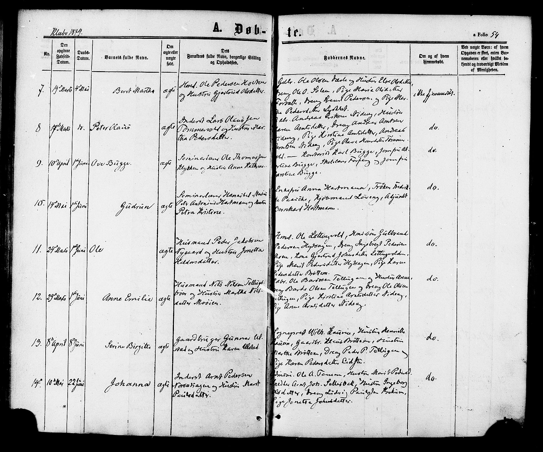 Ministerialprotokoller, klokkerbøker og fødselsregistre - Sør-Trøndelag, SAT/A-1456/618/L0442: Ministerialbok nr. 618A06 /1, 1863-1879, s. 54