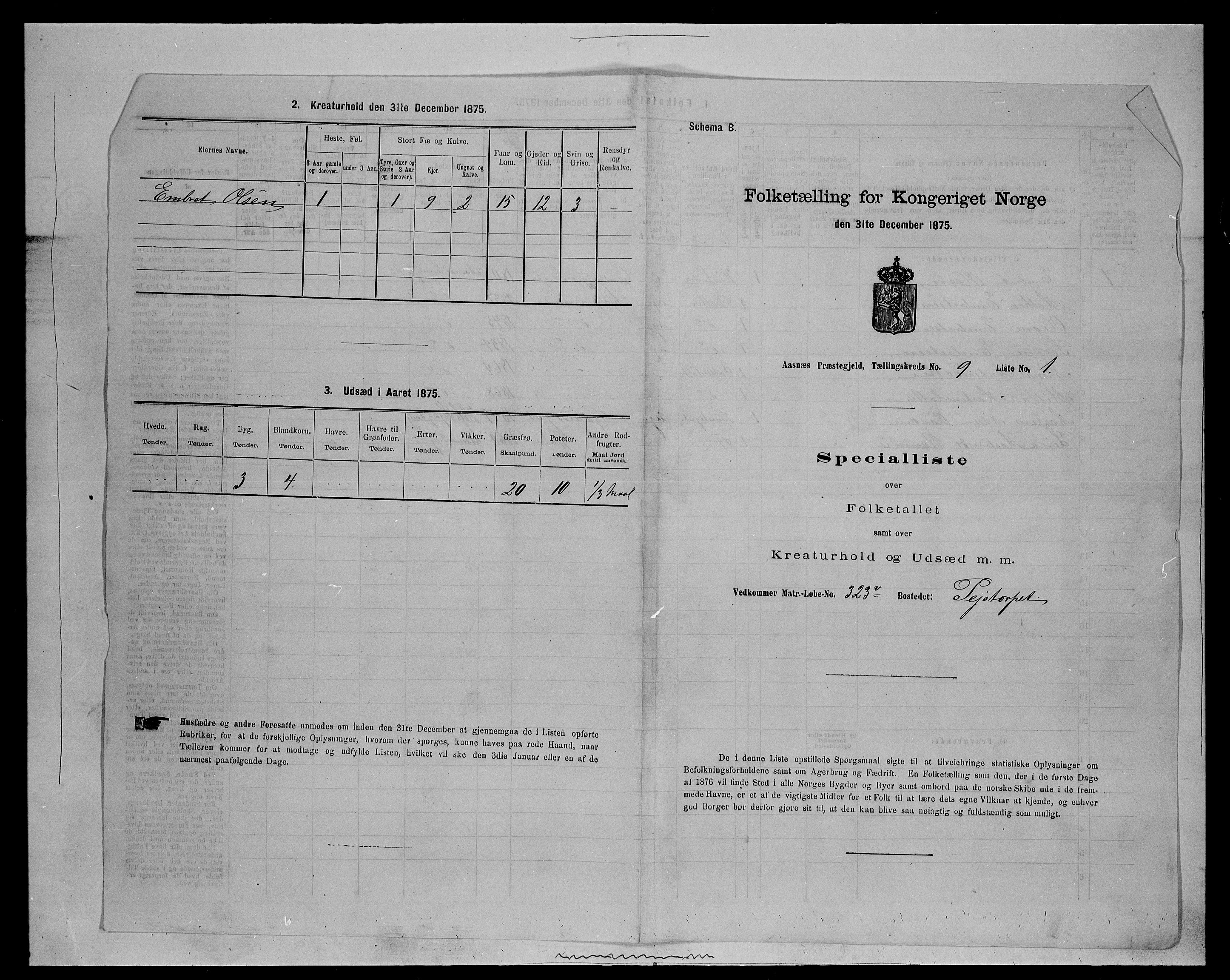 SAH, Folketelling 1875 for 0425P Åsnes prestegjeld, 1875, s. 1344