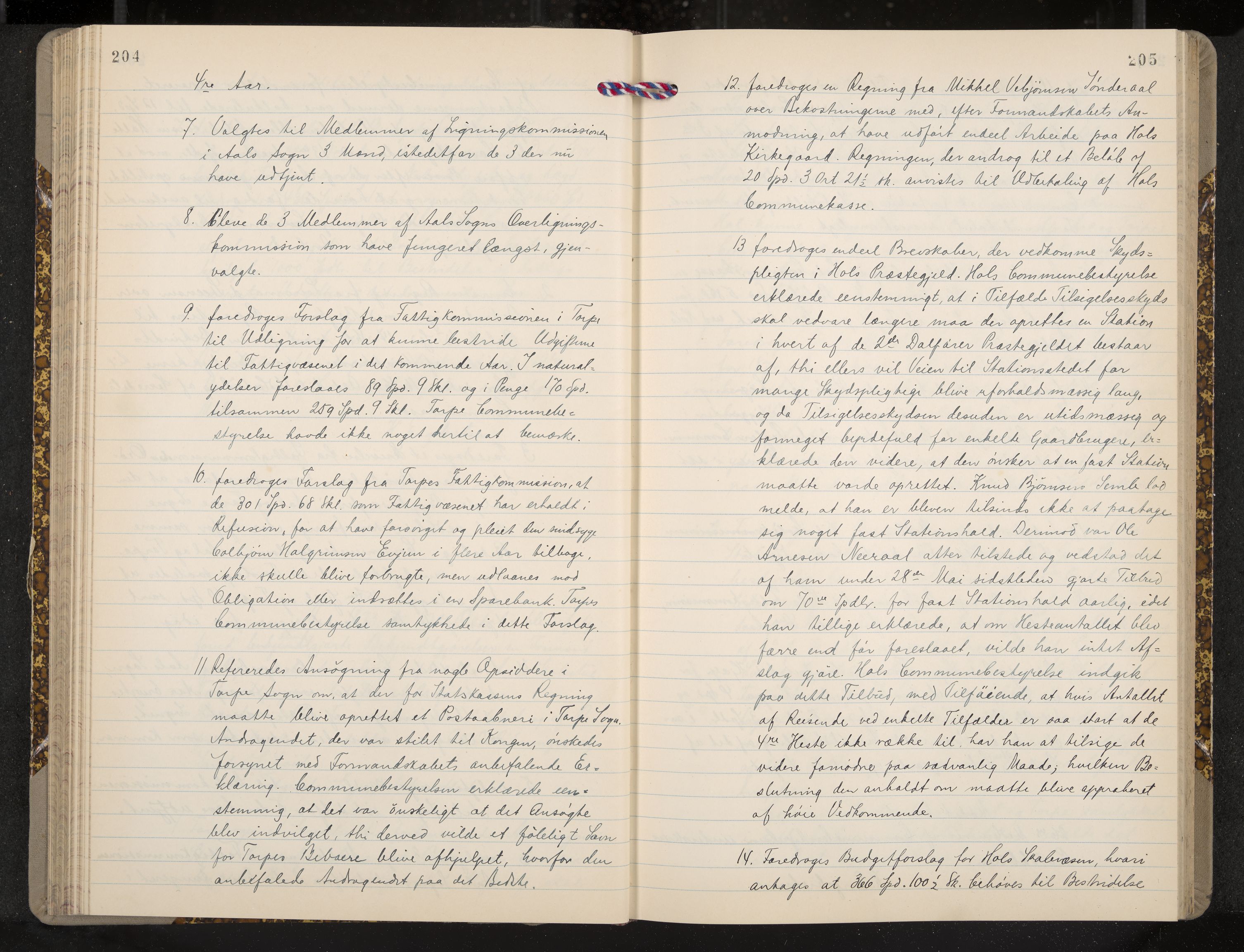 Ål formannskap og sentraladministrasjon, IKAK/0619021/A/Aa/L0003: Utskrift av møtebok, 1864-1880, s. 204-205