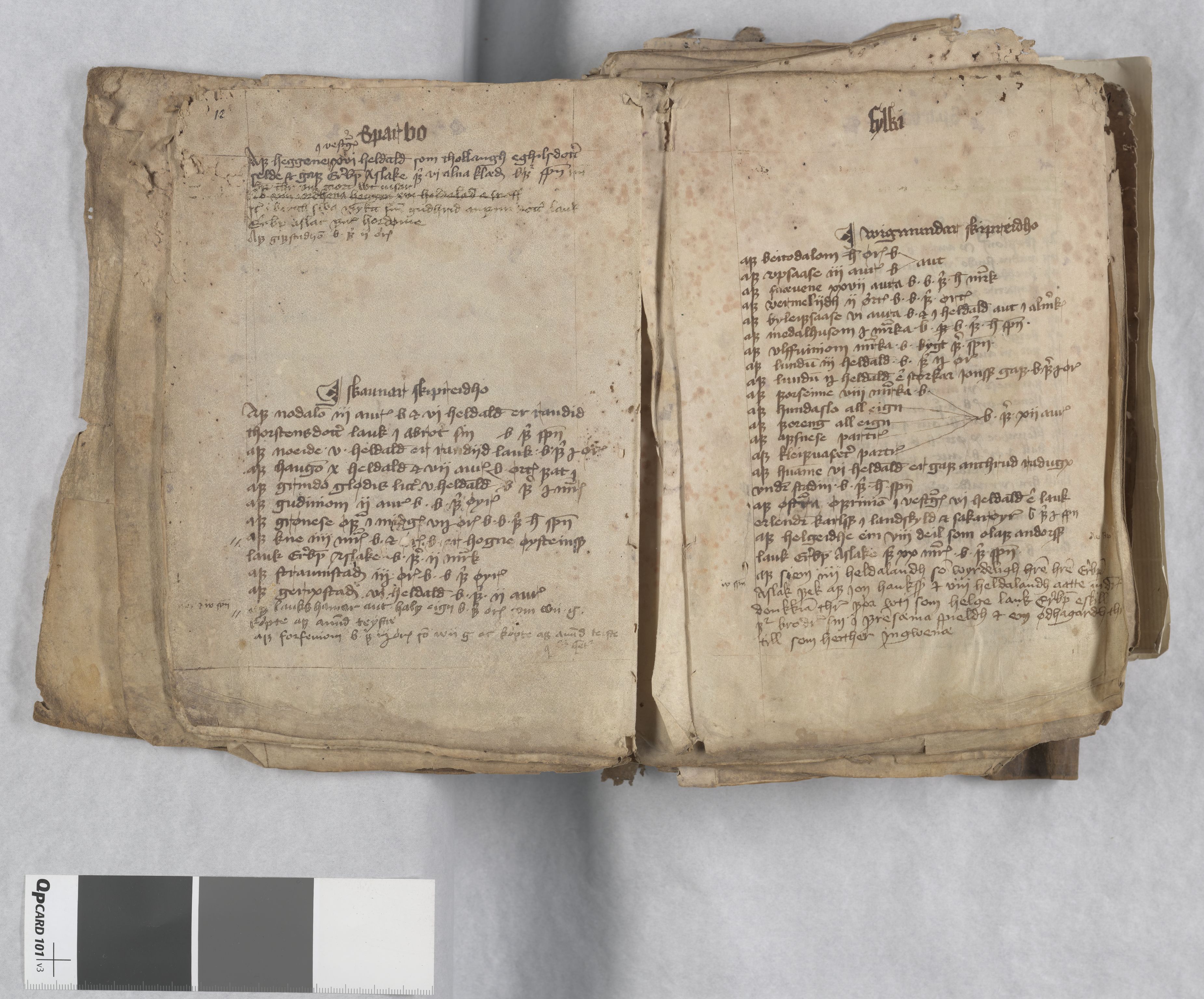 Riksarkivets diplomsamling, AV/RA-EA-5965/F13/F13c/L0001a/0001: NRA dipl. München papir, nr. 4292 Aslak Bolts jordebok. / 4292: Aslak Bolts jordebok, 1430-1439, s. 12-13