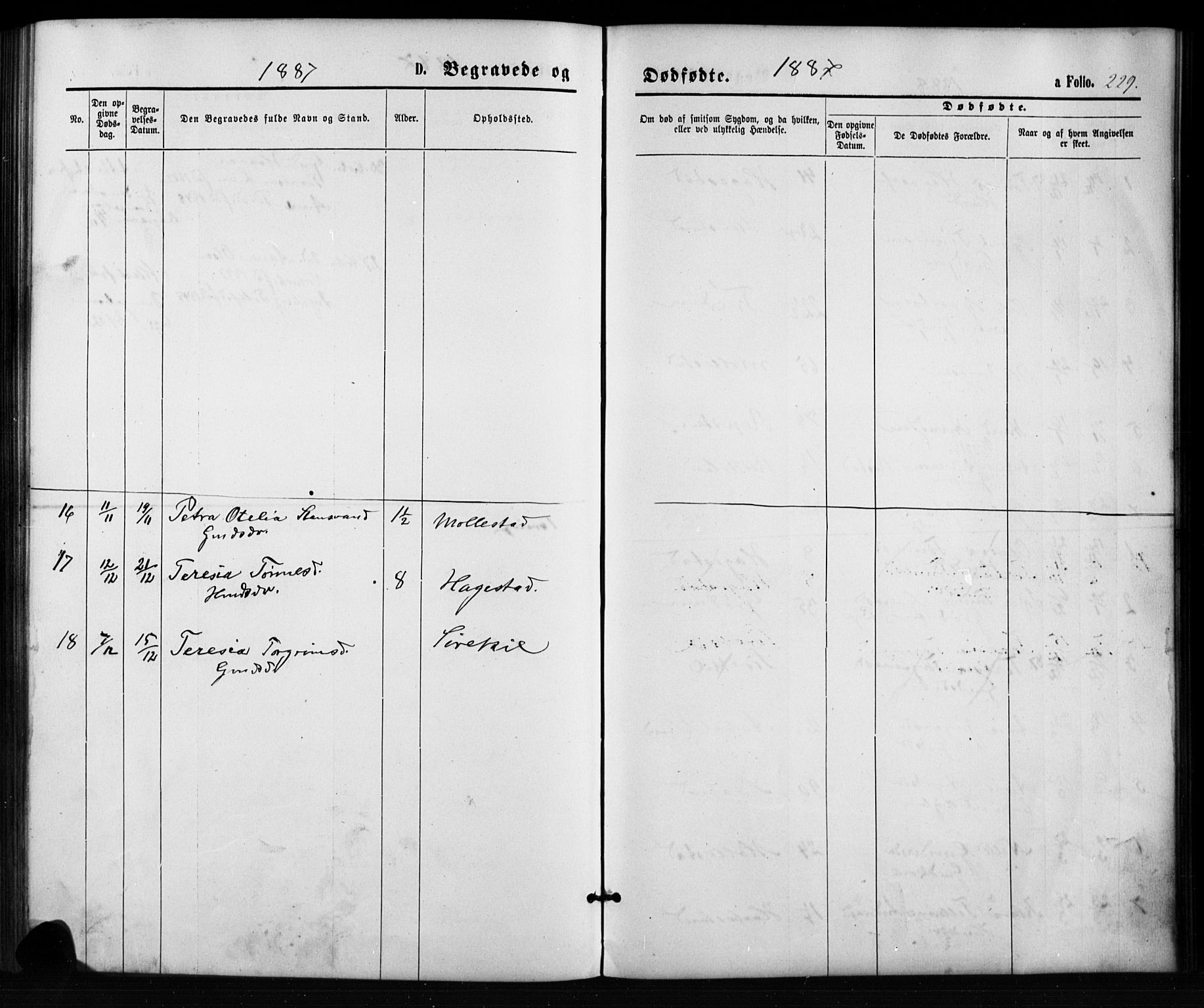 Birkenes sokneprestkontor, SAK/1111-0004/F/Fb/L0003: Klokkerbok nr. B 3, 1876-1892, s. 229