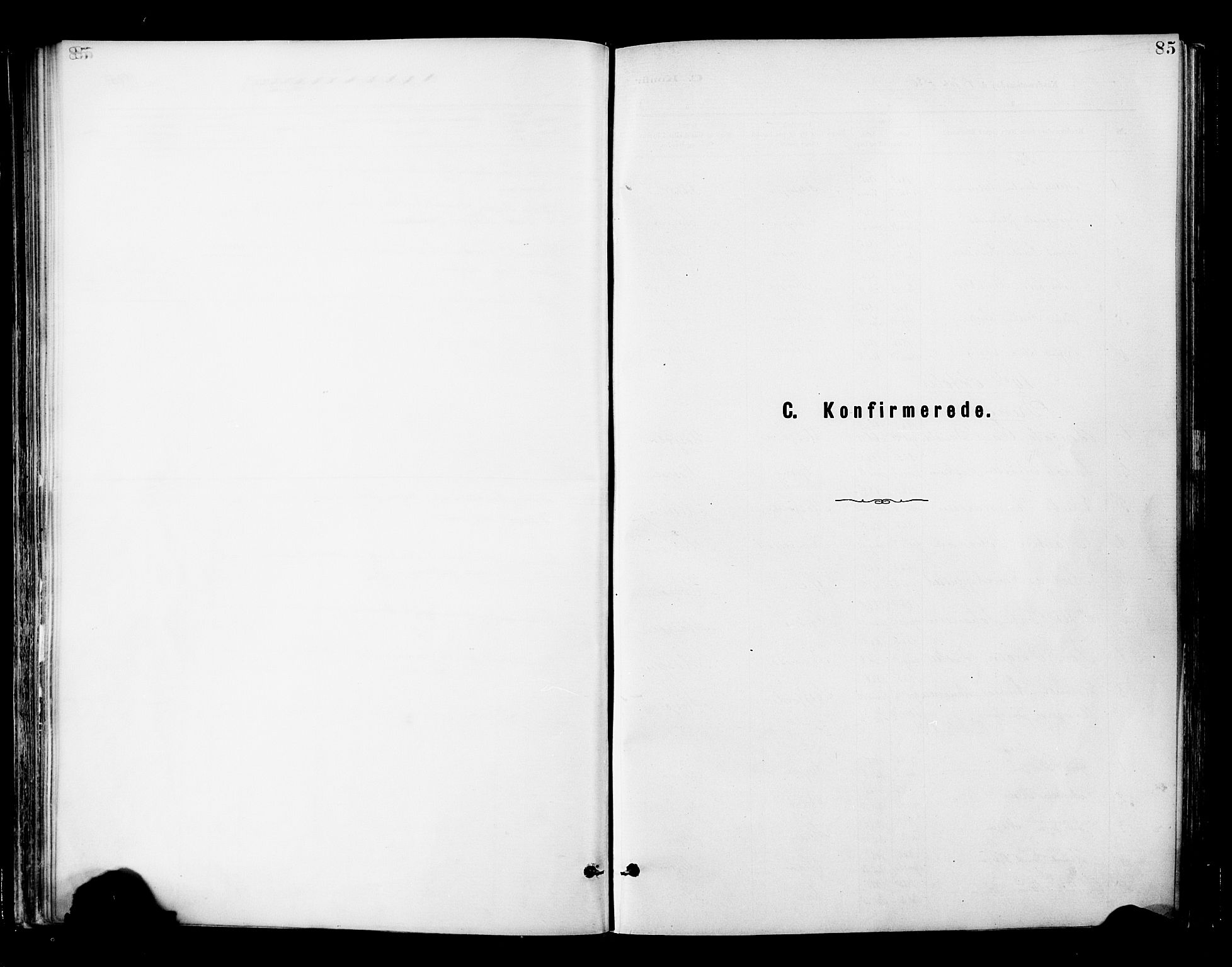 Ministerialprotokoller, klokkerbøker og fødselsregistre - Nordland, SAT/A-1459/820/L0296: Ministerialbok nr. 820A17, 1880-1903, s. 85