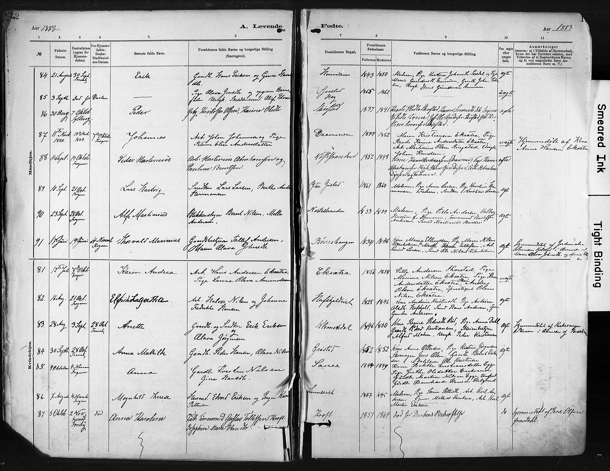 Lier kirkebøker, AV/SAKO-A-230/F/Fa/L0015: Ministerialbok nr. I 15, 1883-1894, s. 12
