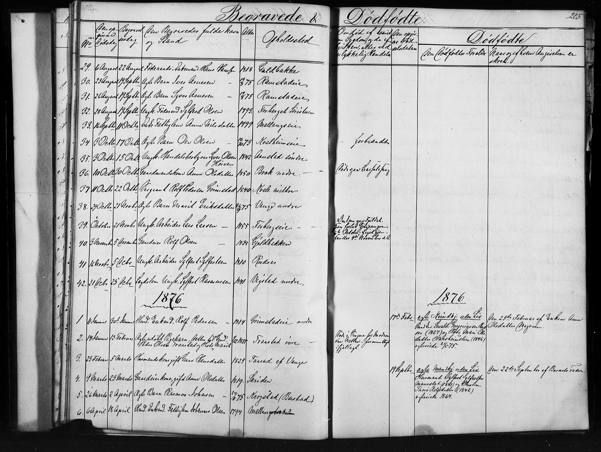 Skjåk prestekontor, AV/SAH-PREST-072/H/Ha/Hab/L0001: Klokkerbok nr. 1, 1865-1893, s. 205