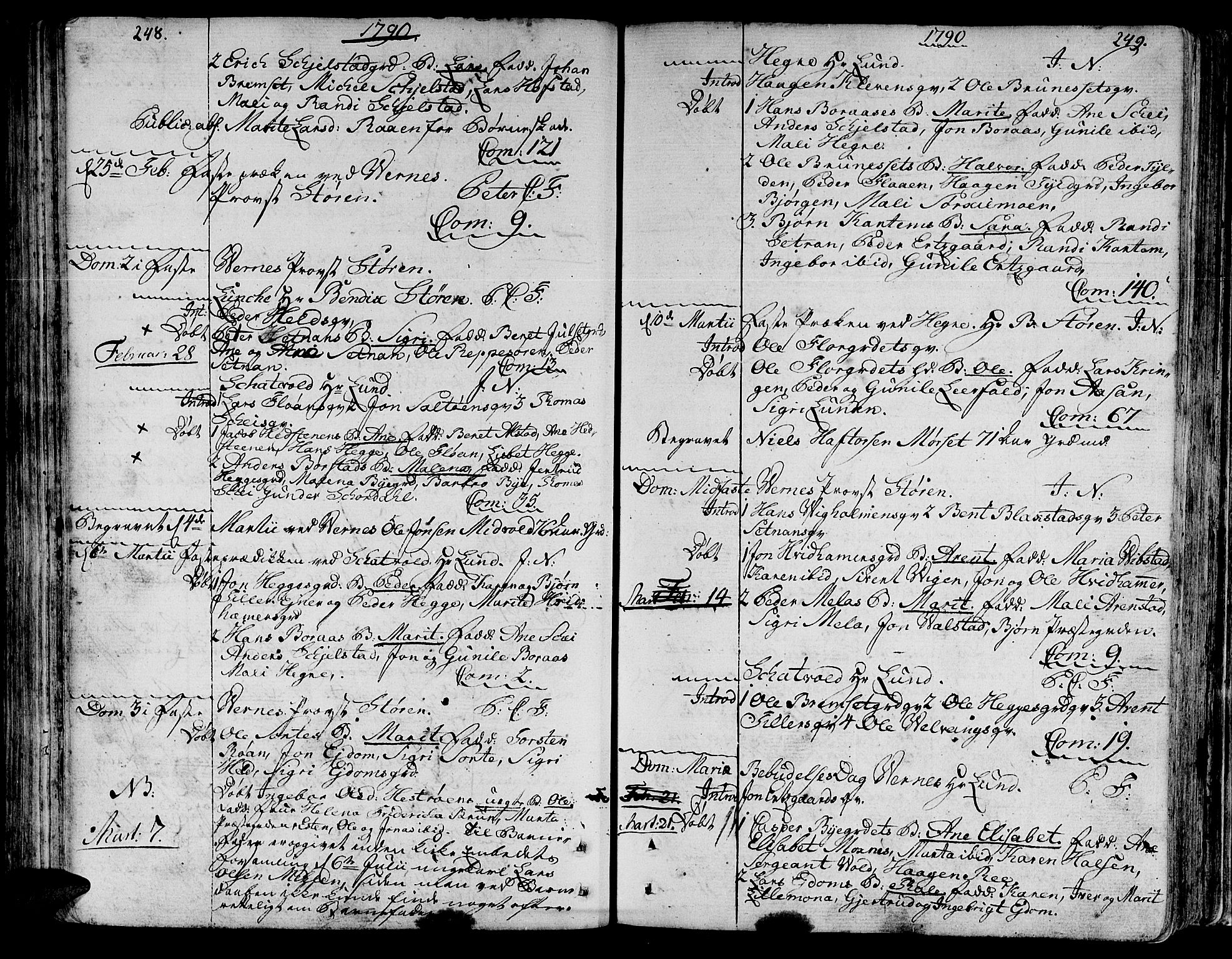 Ministerialprotokoller, klokkerbøker og fødselsregistre - Nord-Trøndelag, AV/SAT-A-1458/709/L0059: Ministerialbok nr. 709A06, 1781-1797, s. 248-249
