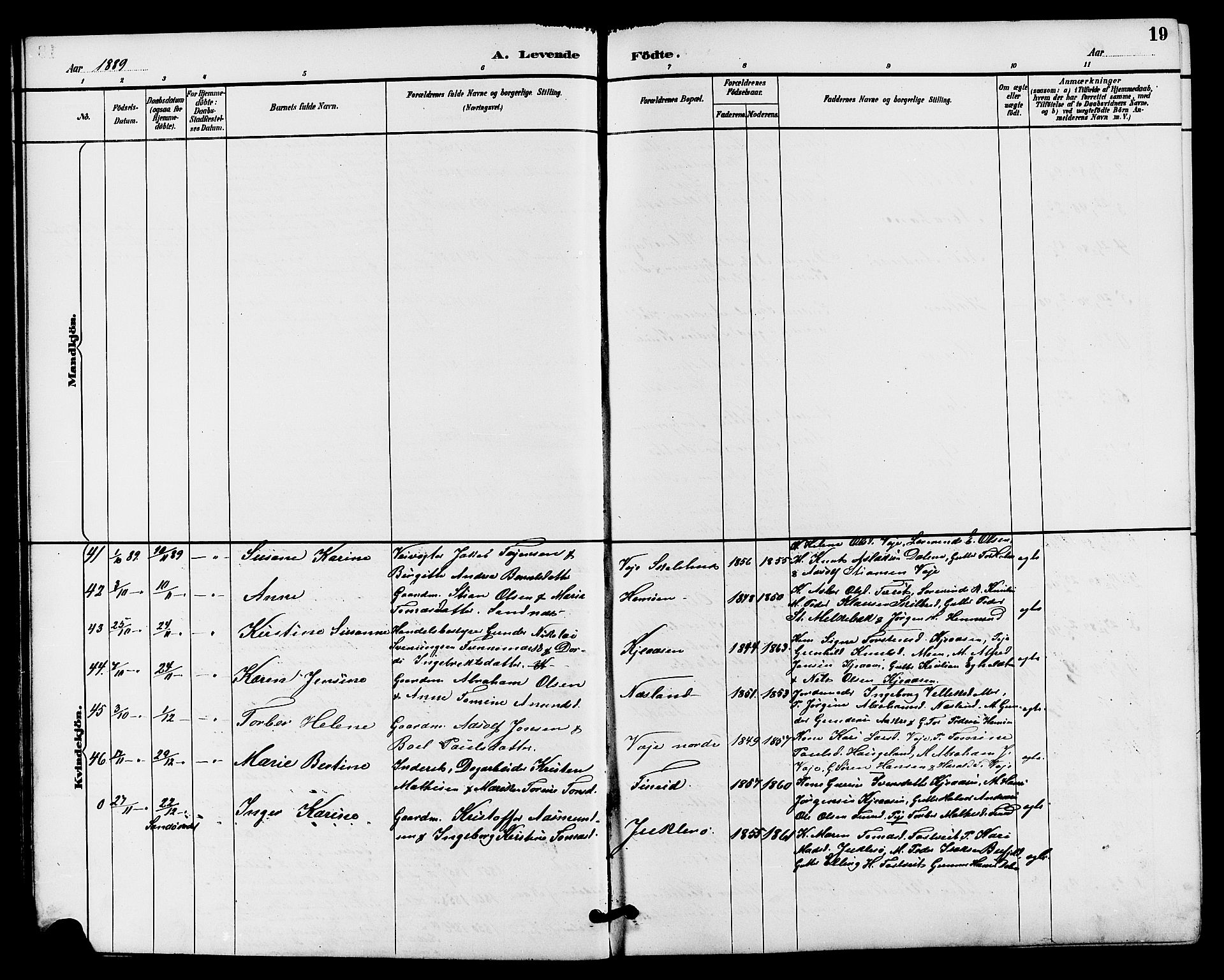 Drangedal kirkebøker, AV/SAKO-A-258/G/Ga/L0003: Klokkerbok nr. I 3, 1887-1906, s. 19