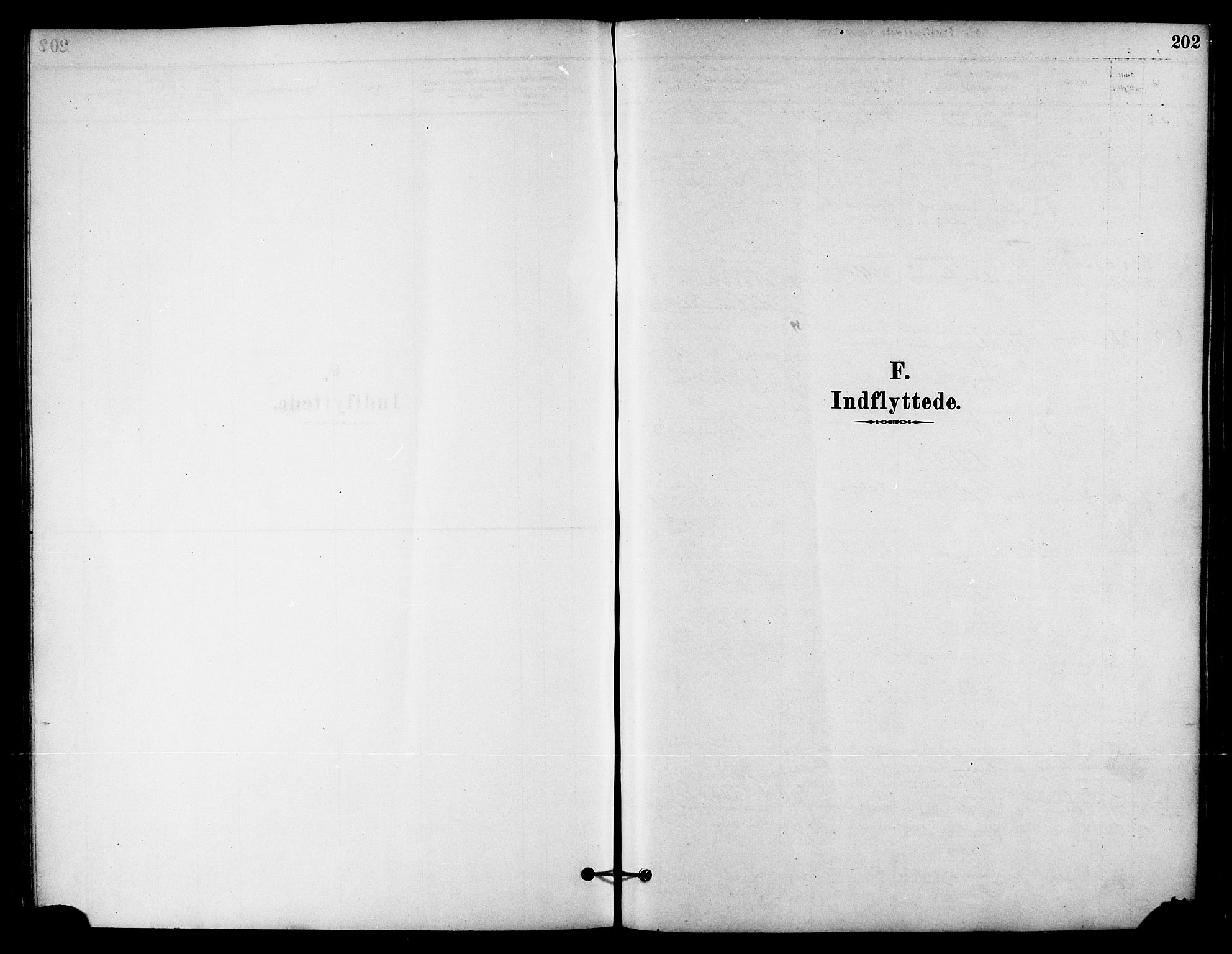 Ministerialprotokoller, klokkerbøker og fødselsregistre - Nordland, AV/SAT-A-1459/823/L0325: Ministerialbok nr. 823A02, 1878-1898, s. 202