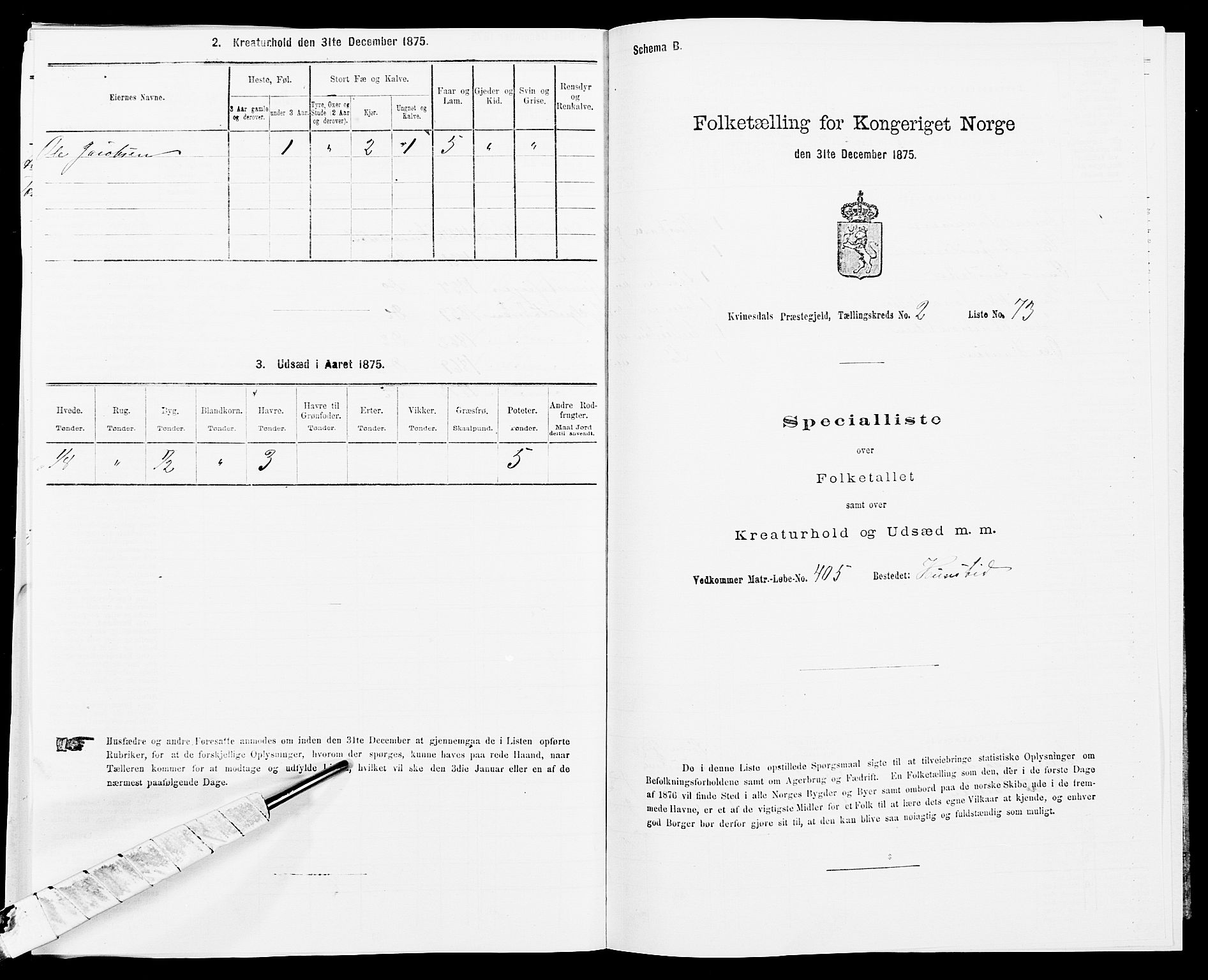 SAK, Folketelling 1875 for 1037P Kvinesdal prestegjeld, 1875, s. 419