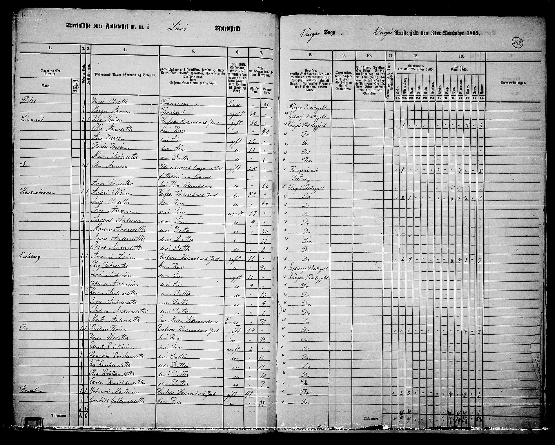 RA, Folketelling 1865 for 0421L Vinger prestegjeld, Vinger sokn og Austmarka sokn, 1865, s. 238
