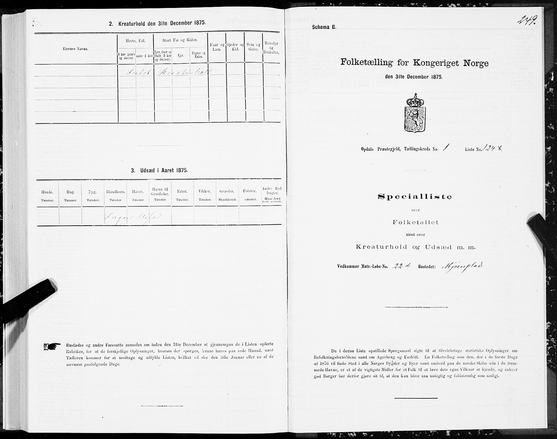 SAT, Folketelling 1875 for 1634P Oppdal prestegjeld, 1875, s. 1249