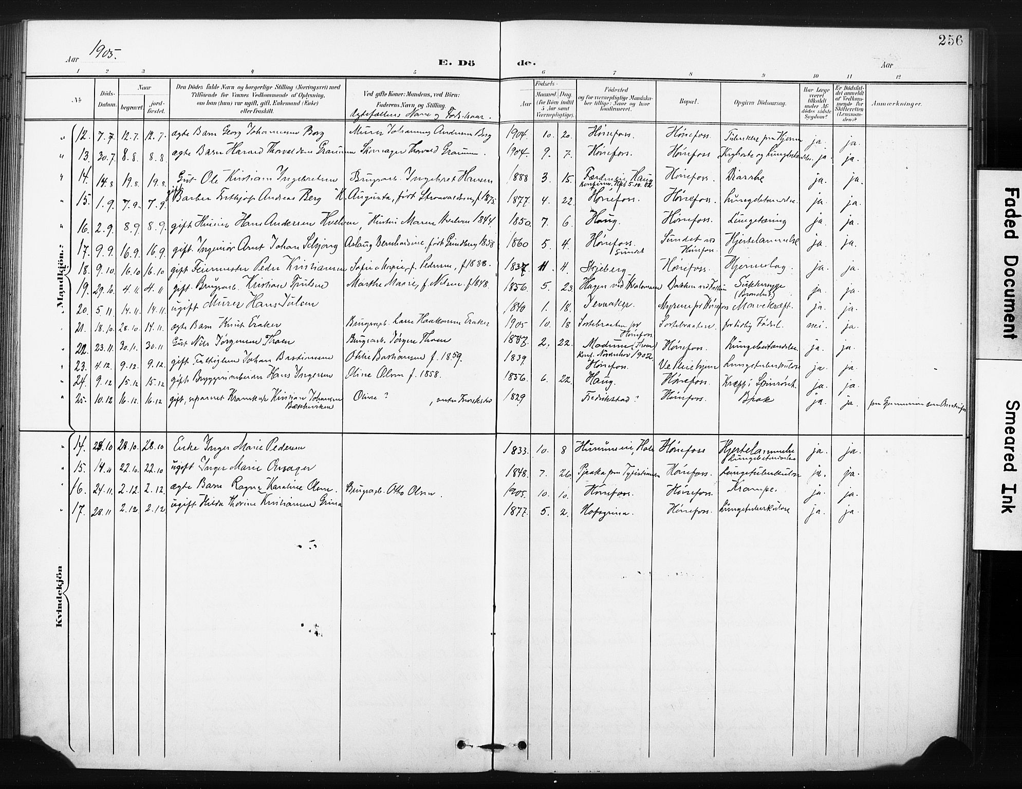 Hønefoss kirkebøker, AV/SAKO-A-609/F/Fa/L0003: Ministerialbok nr. 3, 1900-1913, s. 256