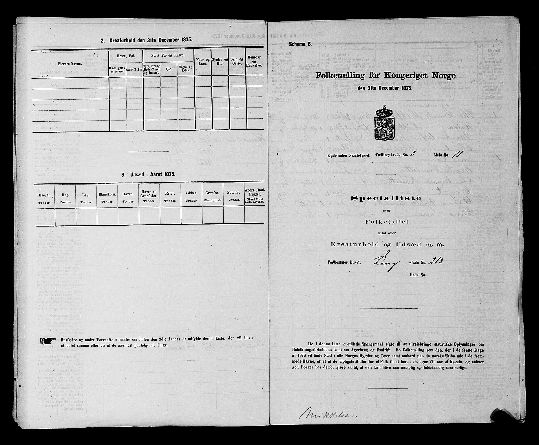 SAKO, Folketelling 1875 for 0706B Sandeherred prestegjeld, Sandefjord kjøpstad, 1875, s. 503