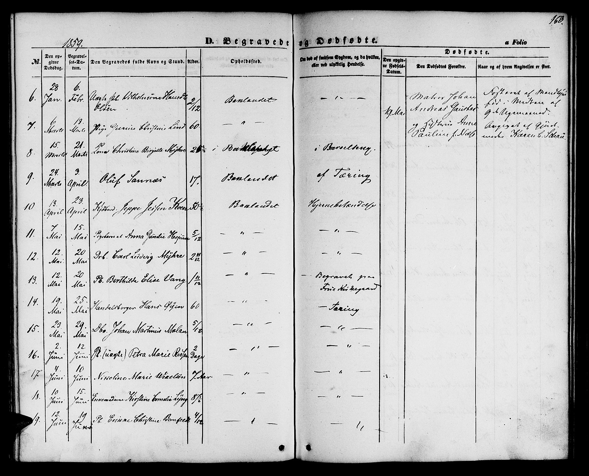 Ministerialprotokoller, klokkerbøker og fødselsregistre - Sør-Trøndelag, AV/SAT-A-1456/604/L0184: Ministerialbok nr. 604A05, 1851-1860, s. 163