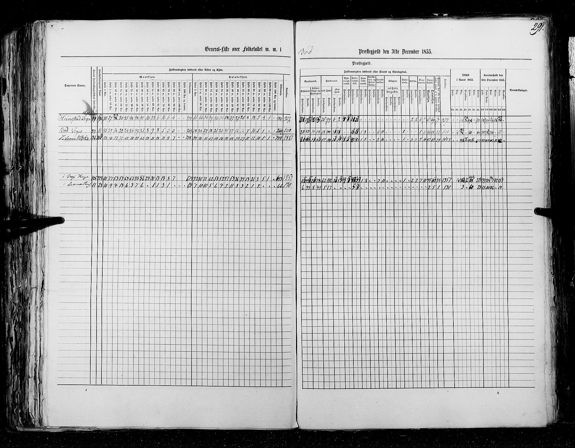 RA, Folketellingen 1855, bind 5: Nordre Bergenhus amt, Romsdal amt og Søndre Trondhjem amt, 1855, s. 291