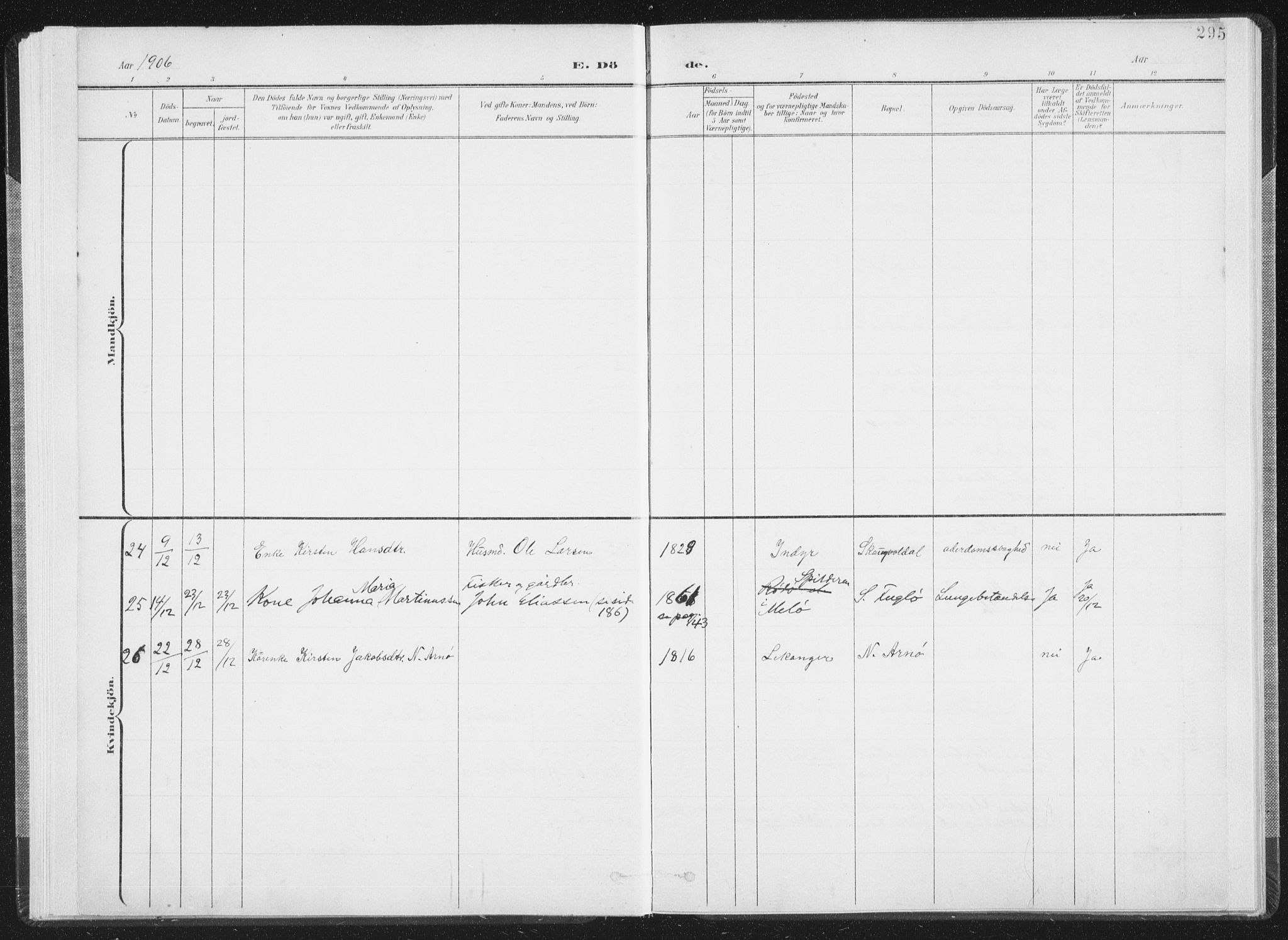 Ministerialprotokoller, klokkerbøker og fødselsregistre - Nordland, AV/SAT-A-1459/805/L0103: Ministerialbok nr. 805A08II, 1900-1909, s. 295