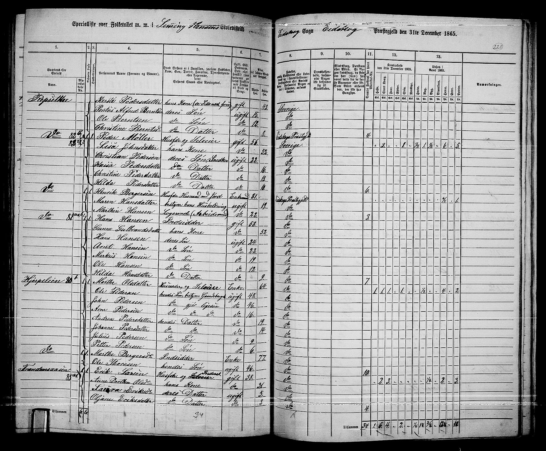 RA, Folketelling 1865 for 0420P Eidskog prestegjeld, 1865, s. 204