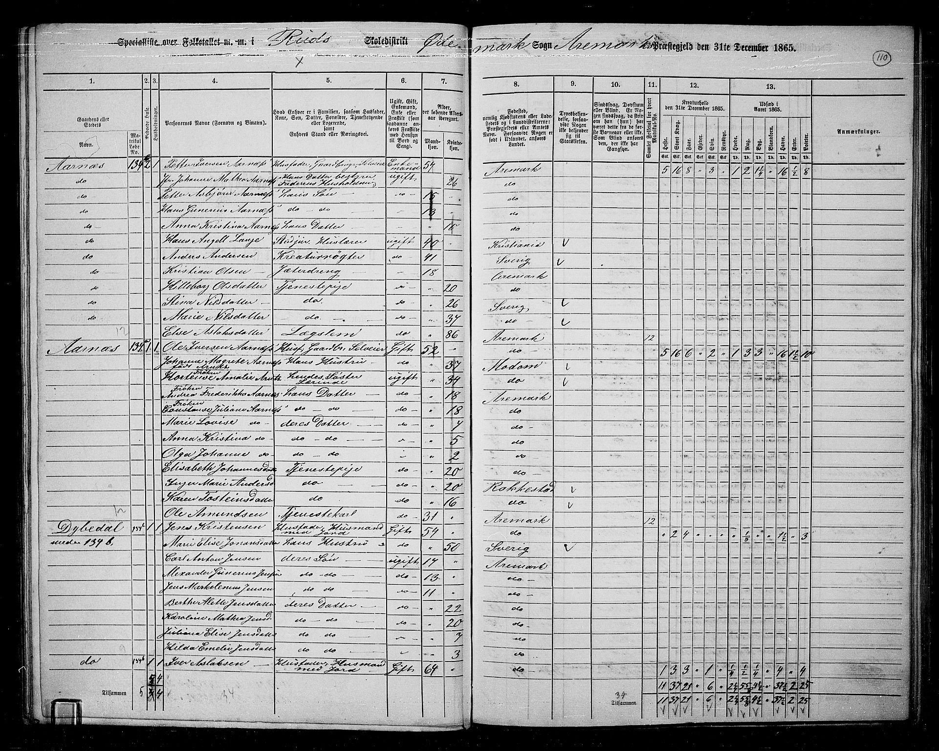 RA, Folketelling 1865 for 0118P Aremark prestegjeld, 1865, s. 98
